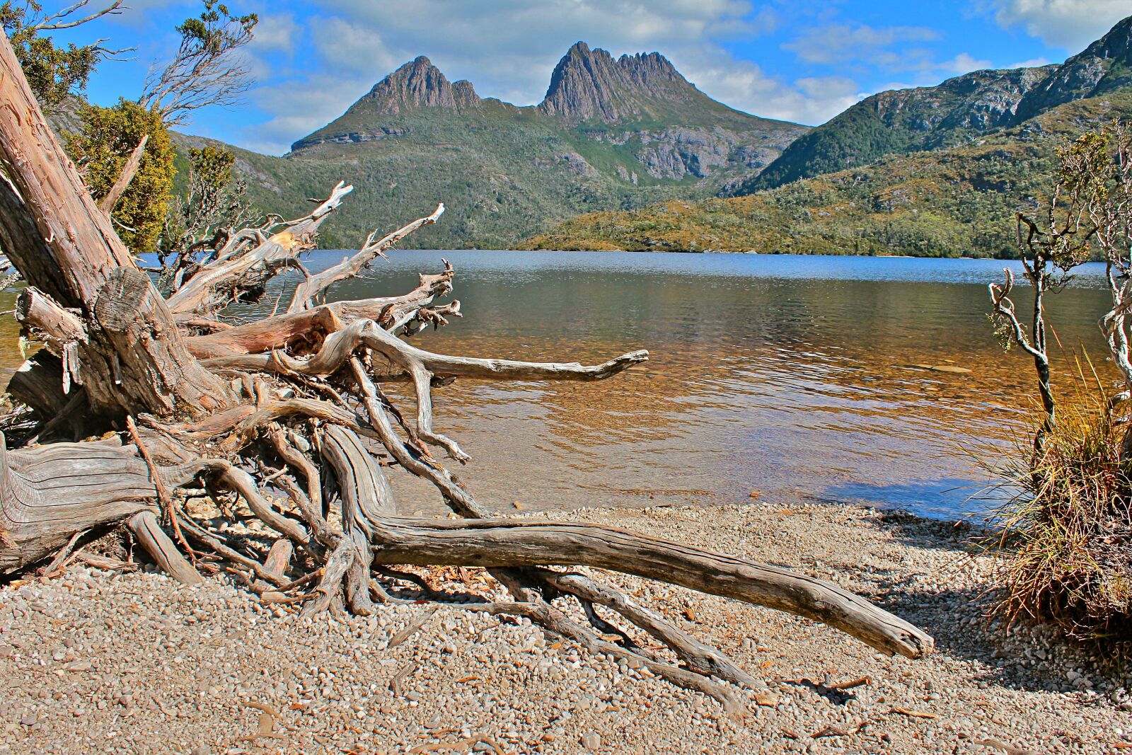 Canon EOS 600D (Rebel EOS T3i / EOS Kiss X5) sample photo. Australia, tasmania, nature photography