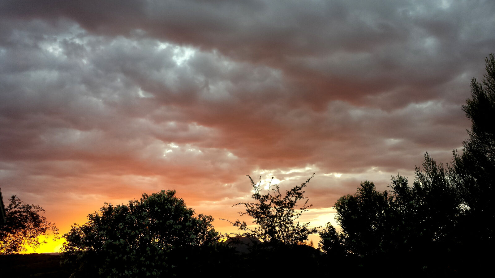 Samsung Galaxy S4 sample photo