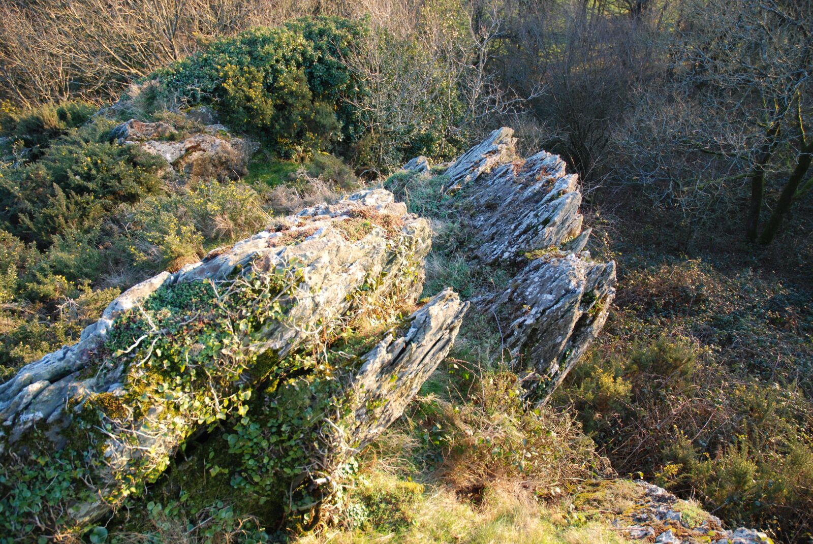 Nikon D80 sample photo. Butte saint-michel, saint-martin-des-pr s photography
