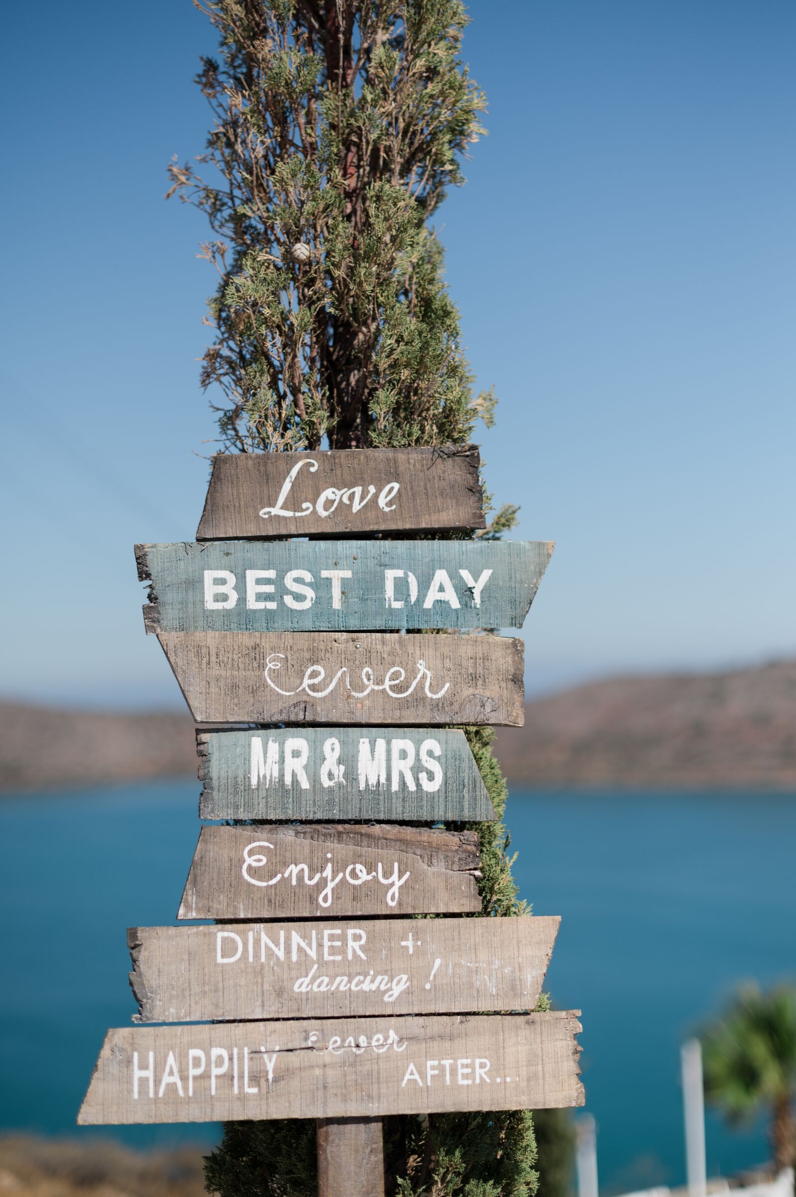 Nikon Z6 sample photo. Wedding, sign, decoration photography