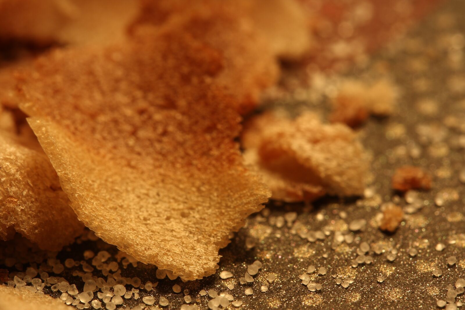 Canon EOS 40D sample photo. Chips, macro, crumb photography