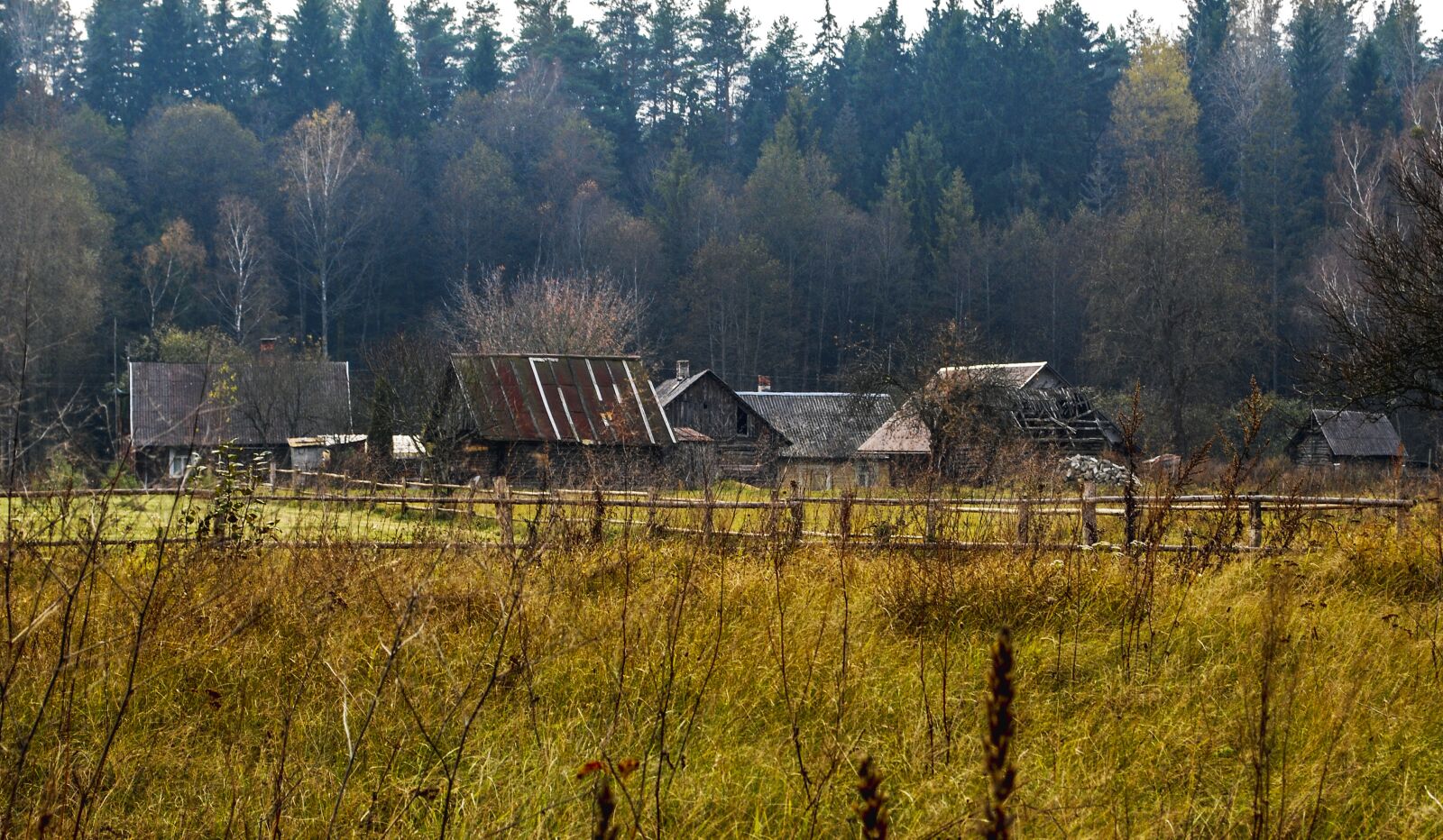 Nikon D60 sample photo. Rural, countryside, farm photography