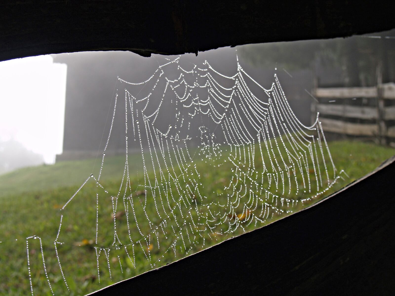 Olympus E-500 (EVOLT E-500) sample photo. Cobweb, alpine, farm photography