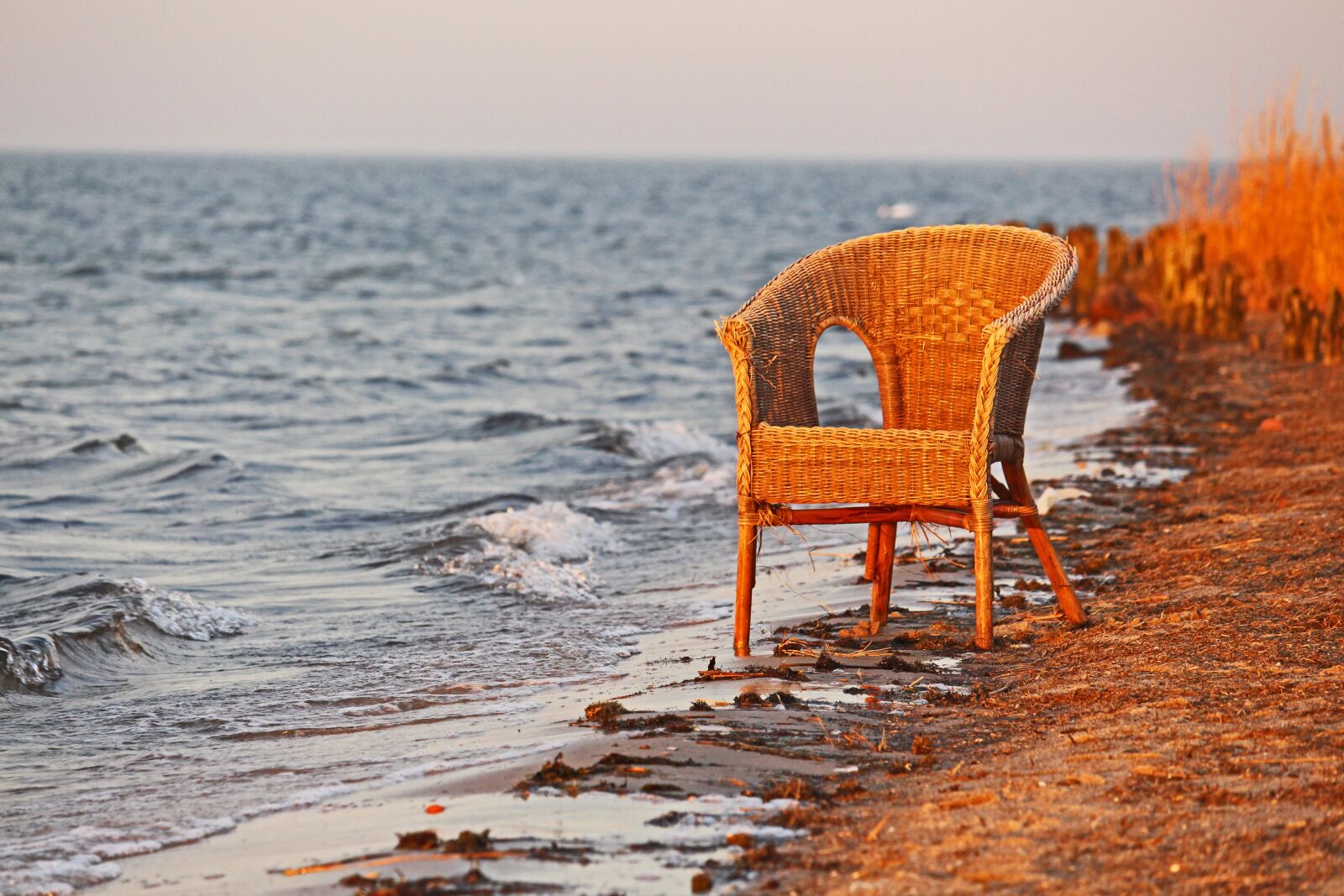 Canon EF-S 55-250mm F4-5.6 IS STM sample photo. Sunset, rattan chair, basket photography