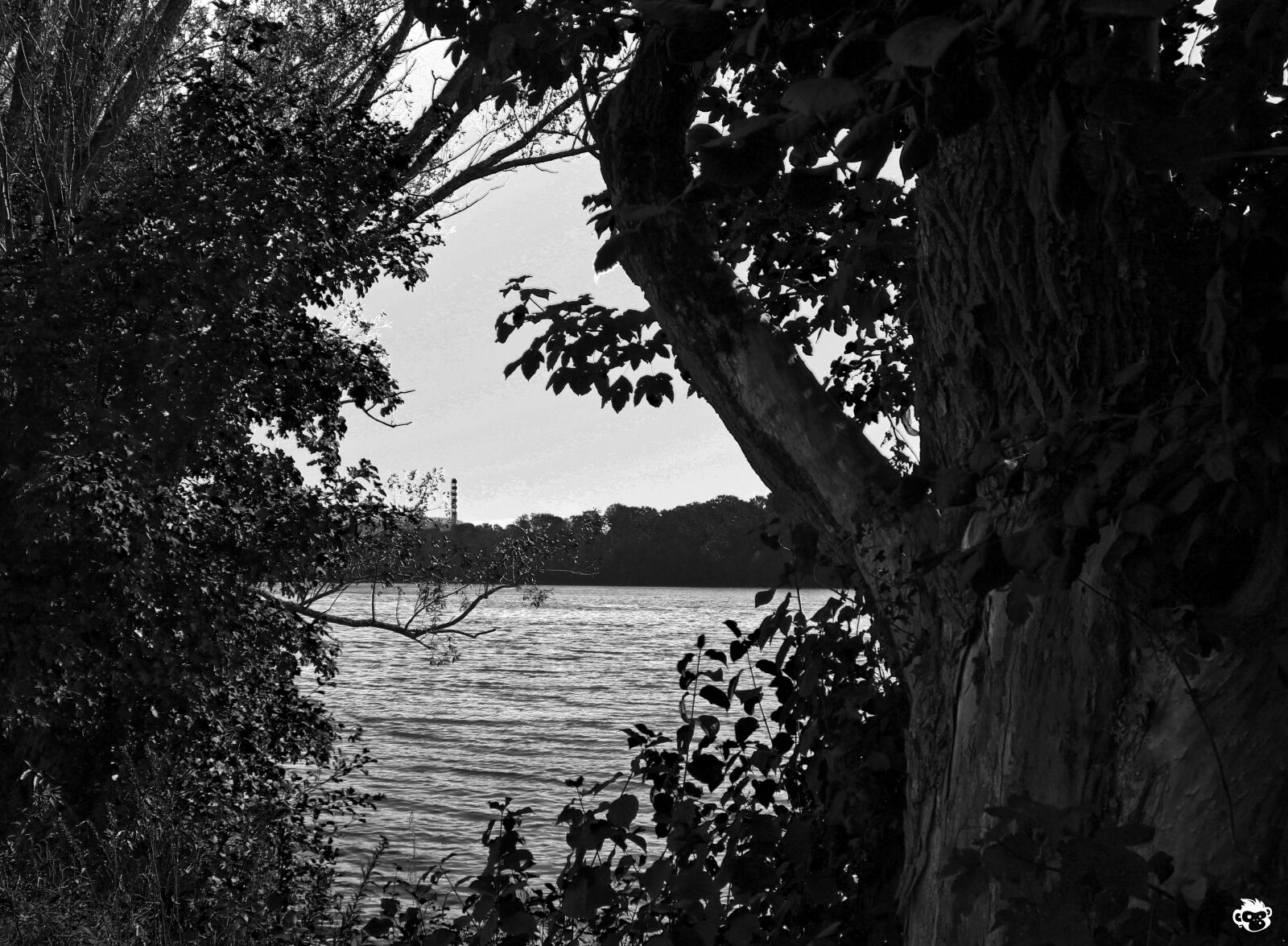 Canon EOS 550D (EOS Rebel T2i / EOS Kiss X4) sample photo. Rhein, river, blackwhite photography