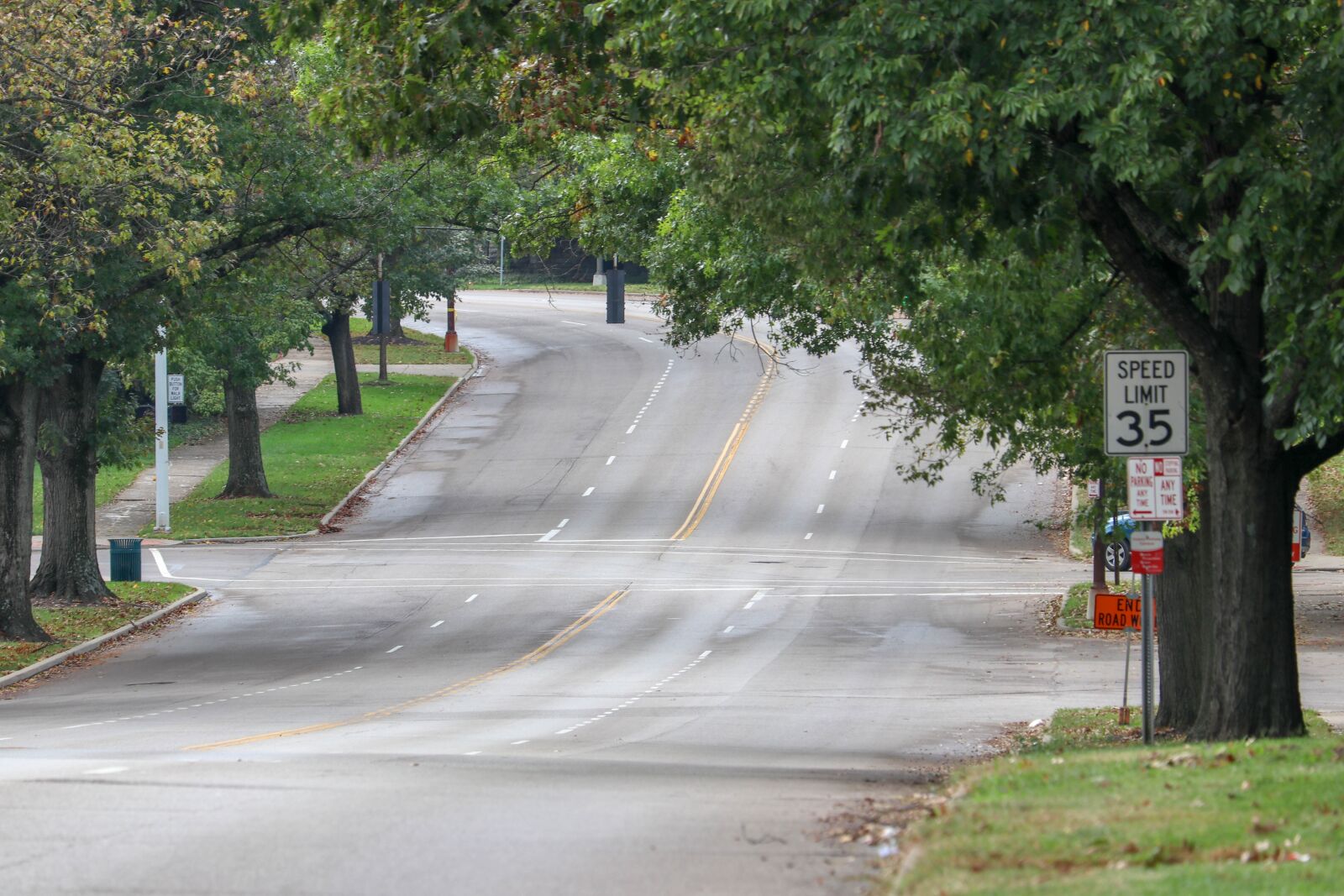 Canon EF-S 55-250mm F4-5.6 IS STM sample photo. Street, trees, road photography
