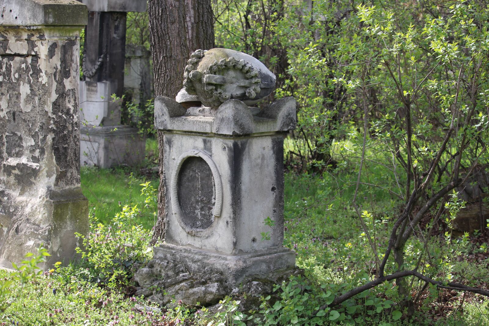 Canon EOS 100D (EOS Rebel SL1 / EOS Kiss X7) sample photo. Cemetery, st marxer cemetery photography
