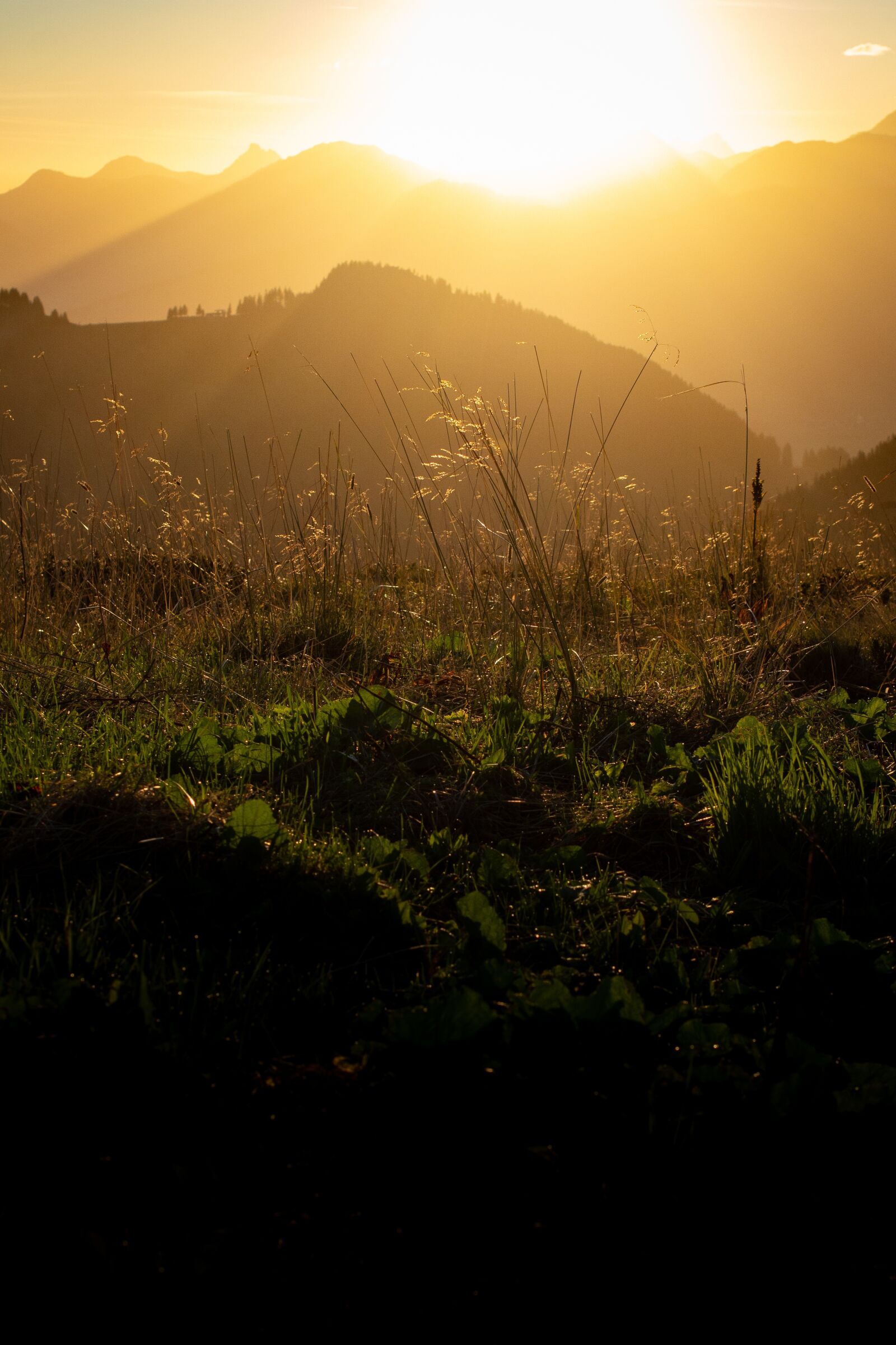 Canon EOS 700D (EOS Rebel T5i / EOS Kiss X7i) sample photo. Sunrise, sun, clouds photography