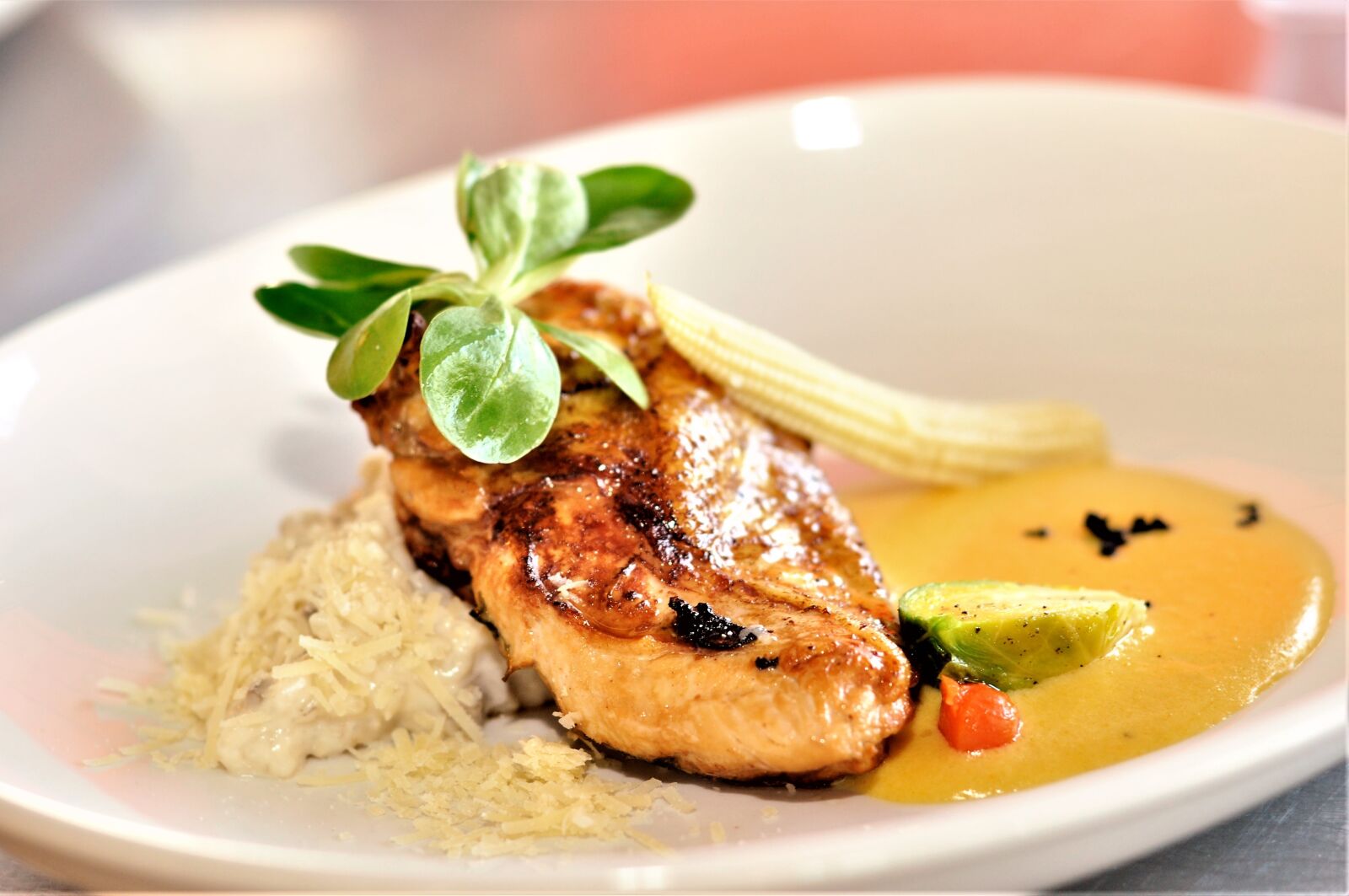 Nikon D90 sample photo. Fillet, grill, chicken photography