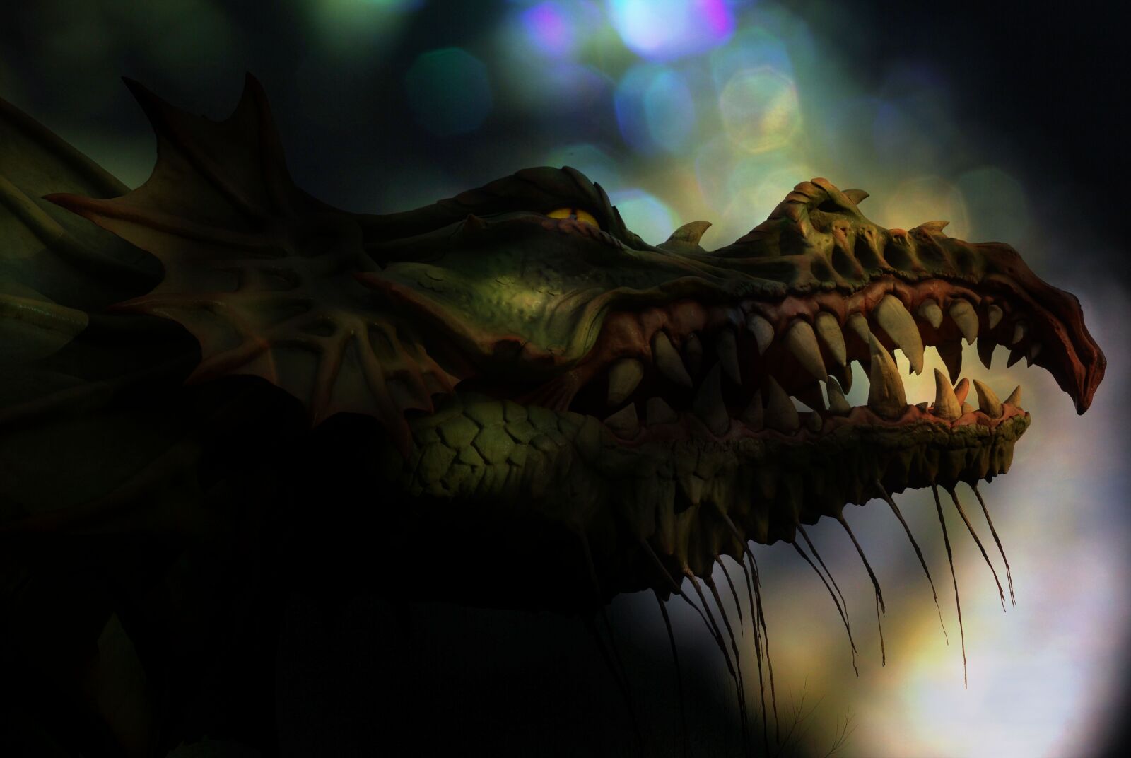 Nikon D3200 sample photo. Dragon, fantasy, mythical creature photography