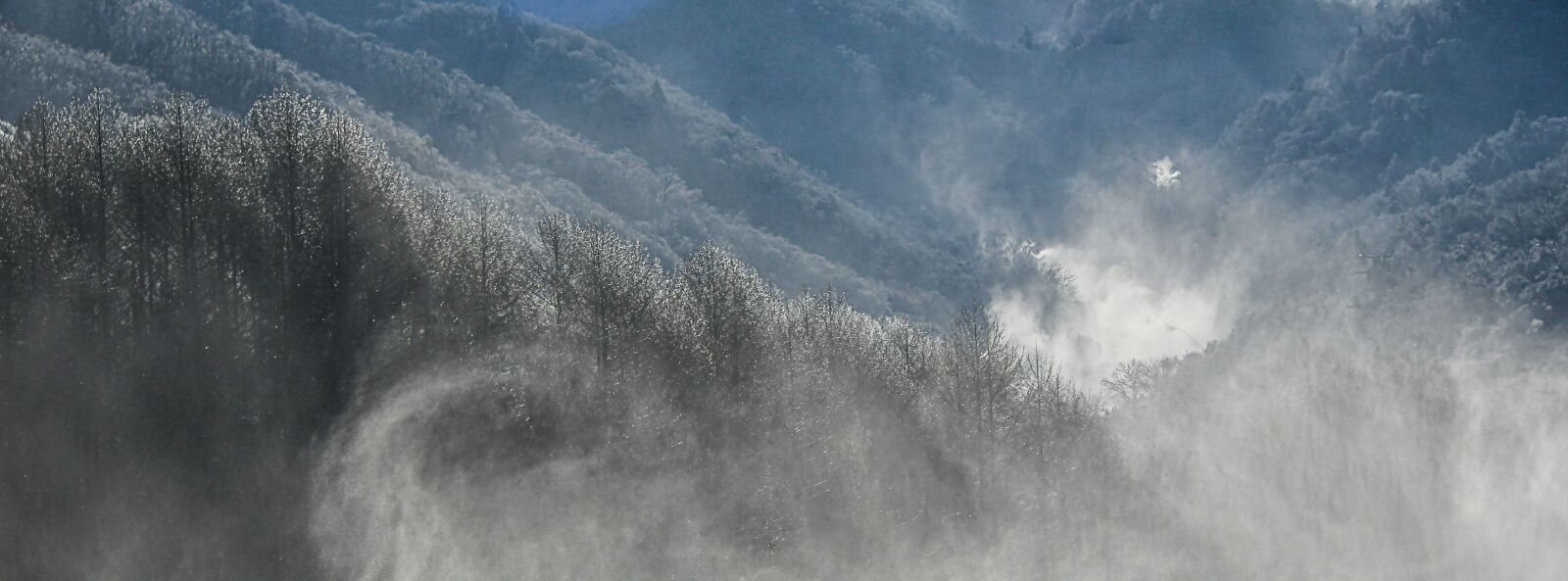 Nikon D500 sample photo. White snow, snow, winter photography
