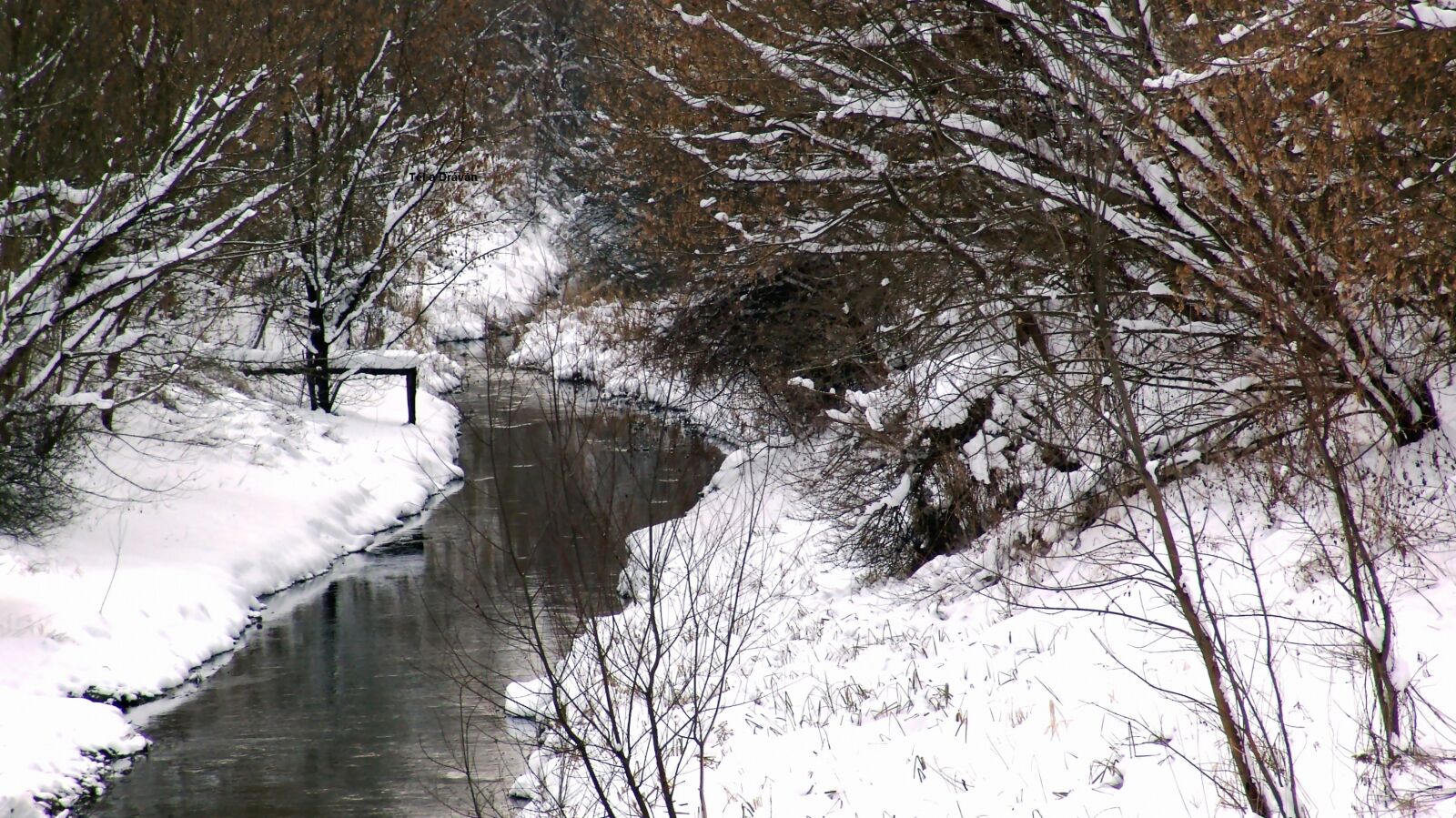Sony DSC-F828 sample photo. Winter, river, nature photography