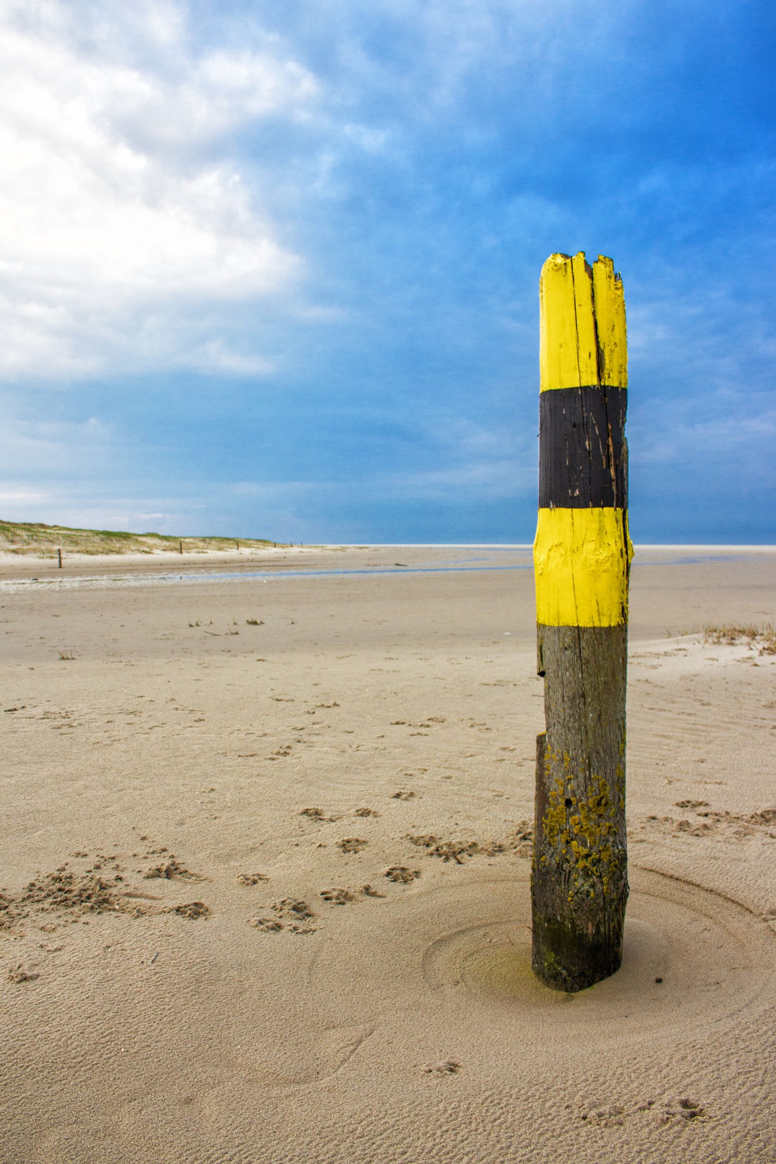 Canon EOS 700D (EOS Rebel T5i / EOS Kiss X7i) sample photo. Wood pile, yellow, black photography