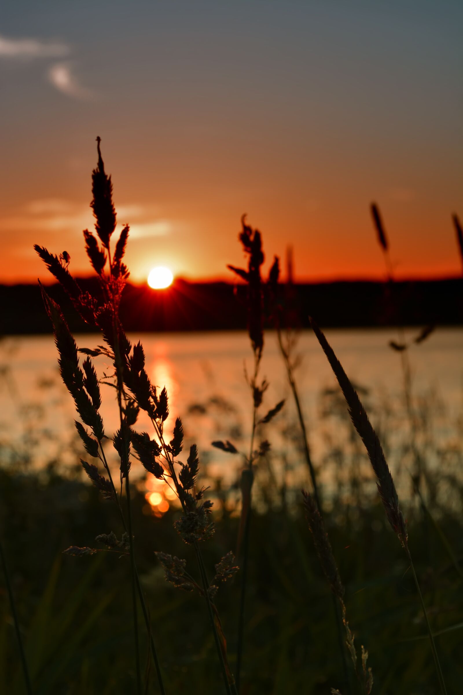 Nikon D5200 sample photo. Evening, sunset, sun photography