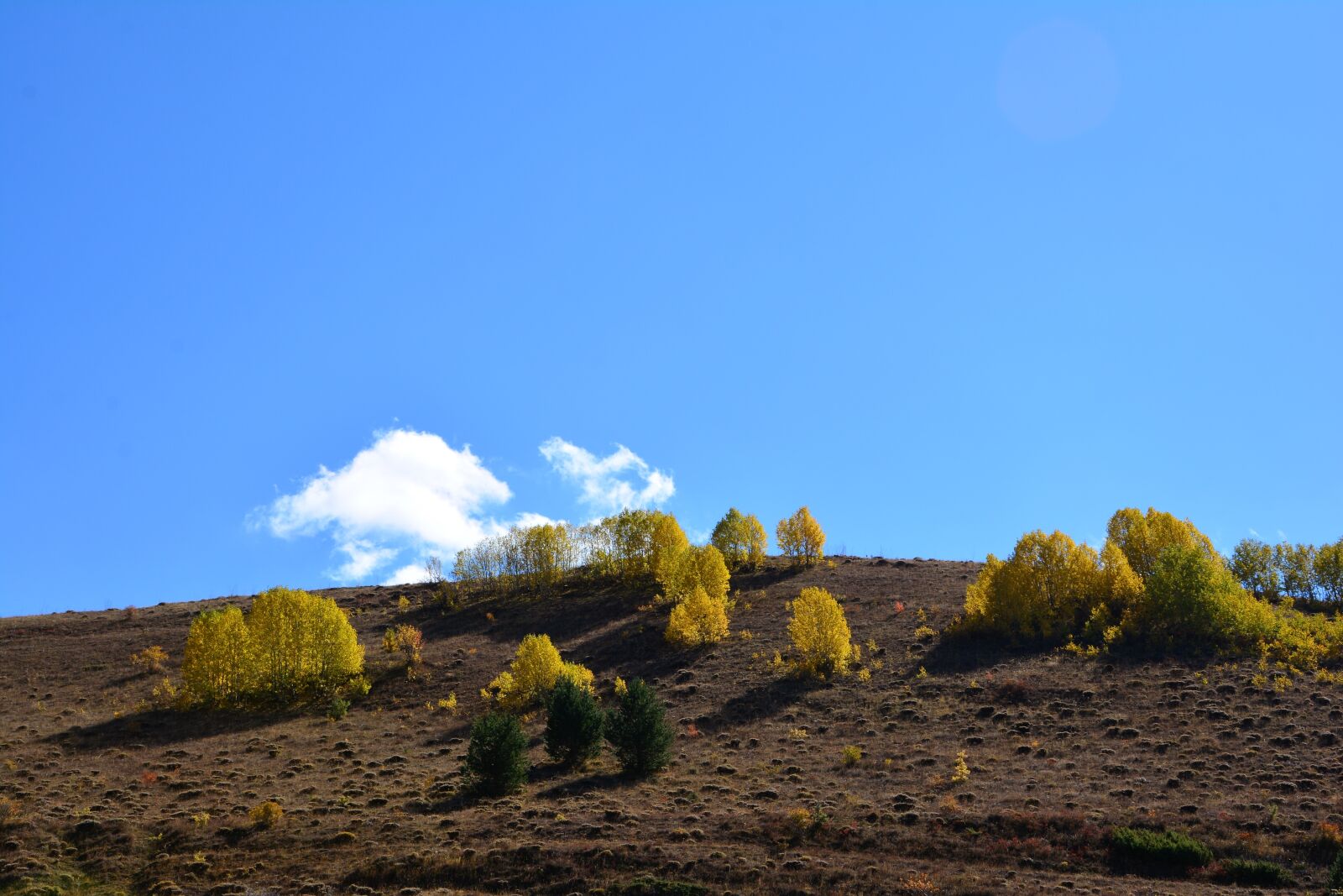Nikon D7100 sample photo. Autumn, season, nature photography