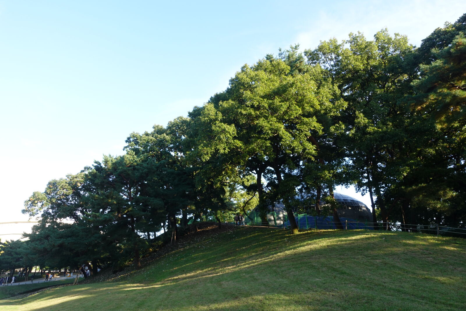 Sony ZV-1 sample photo