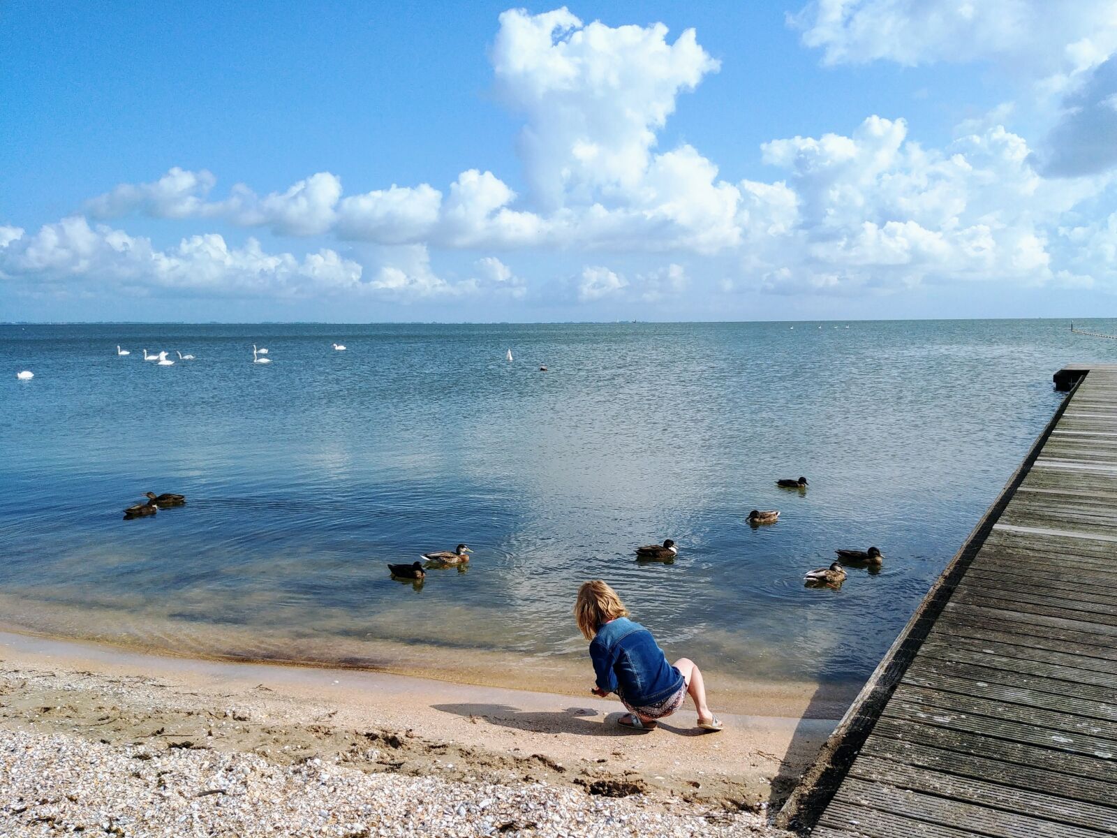 LG G6 sample photo. Feeding the ducks, ijsselmeer photography