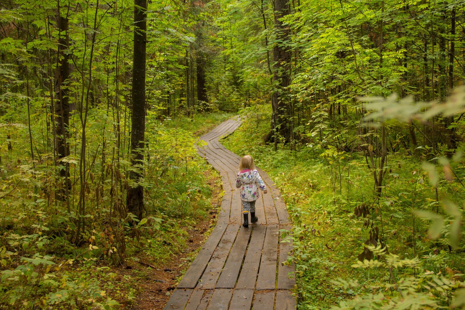 Canon EOS 70D sample photo. Child, trail, forest photography