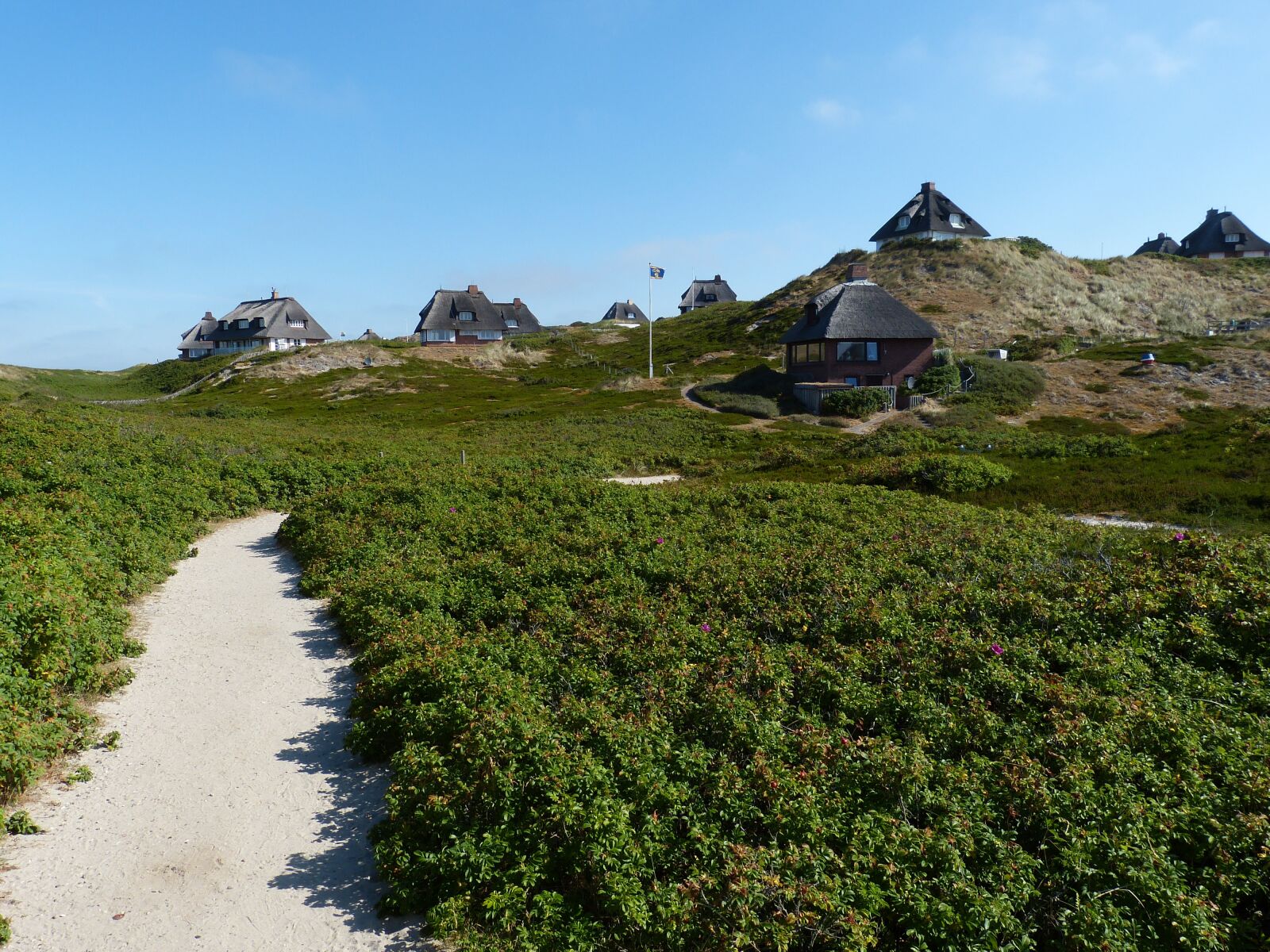 Panasonic Lumix DMC-FZ150 sample photo. Hörnum, sylt, island photography