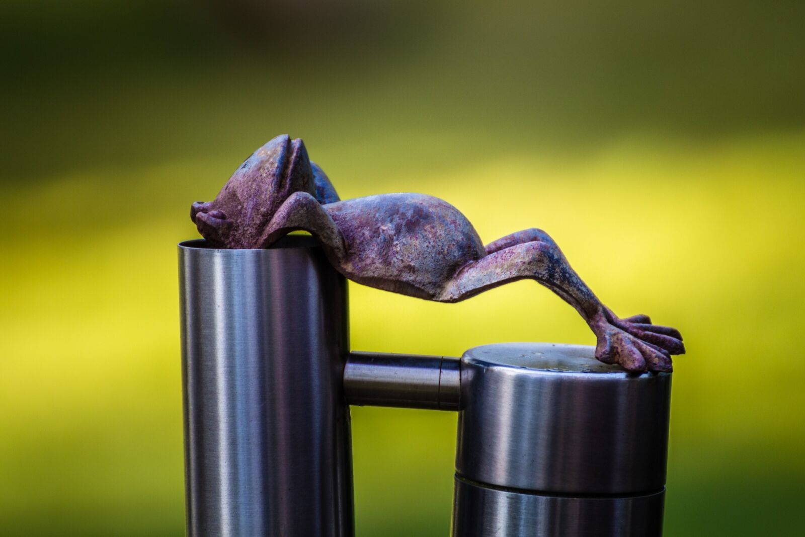 Canon EOS 700D (EOS Rebel T5i / EOS Kiss X7i) sample photo. Frog, relax, rest photography