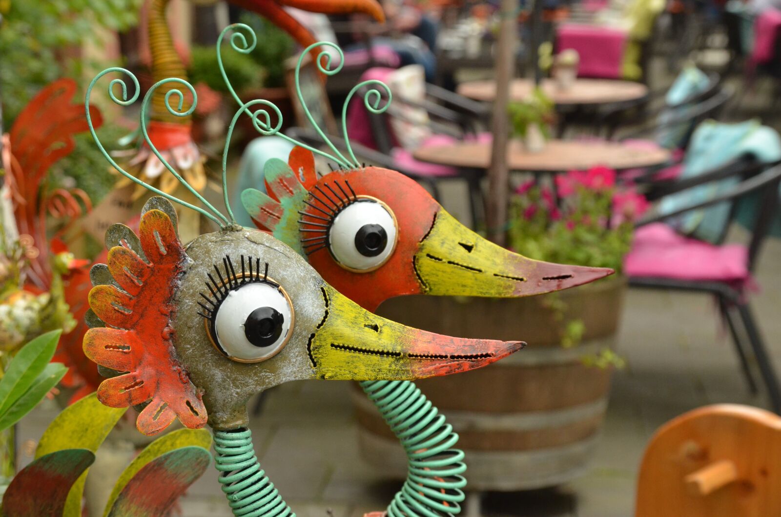 Nikon D7000 sample photo. Bird, head, beak photography