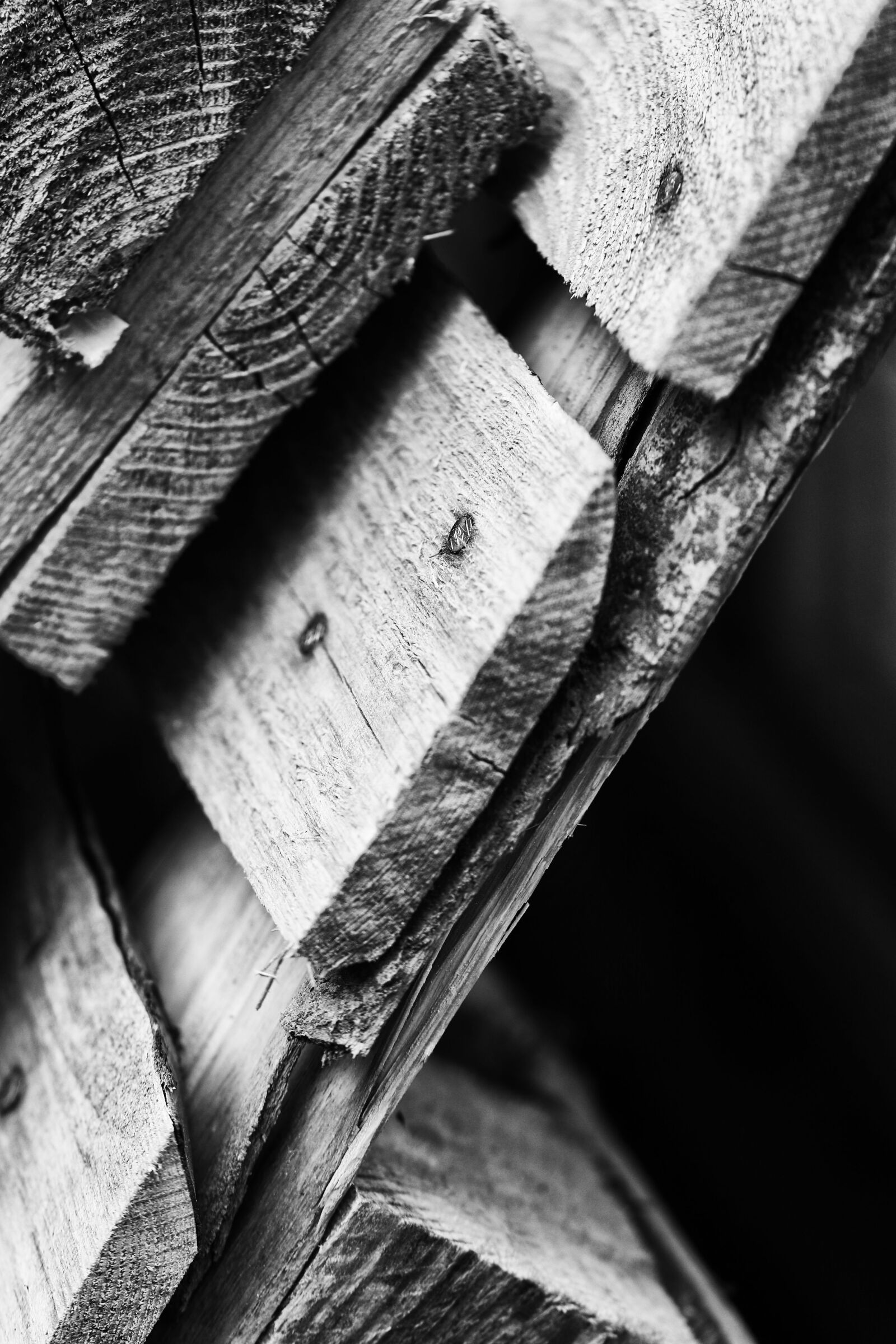 Canon EOS 7D Mark II sample photo. Pallet, wood, storage photography