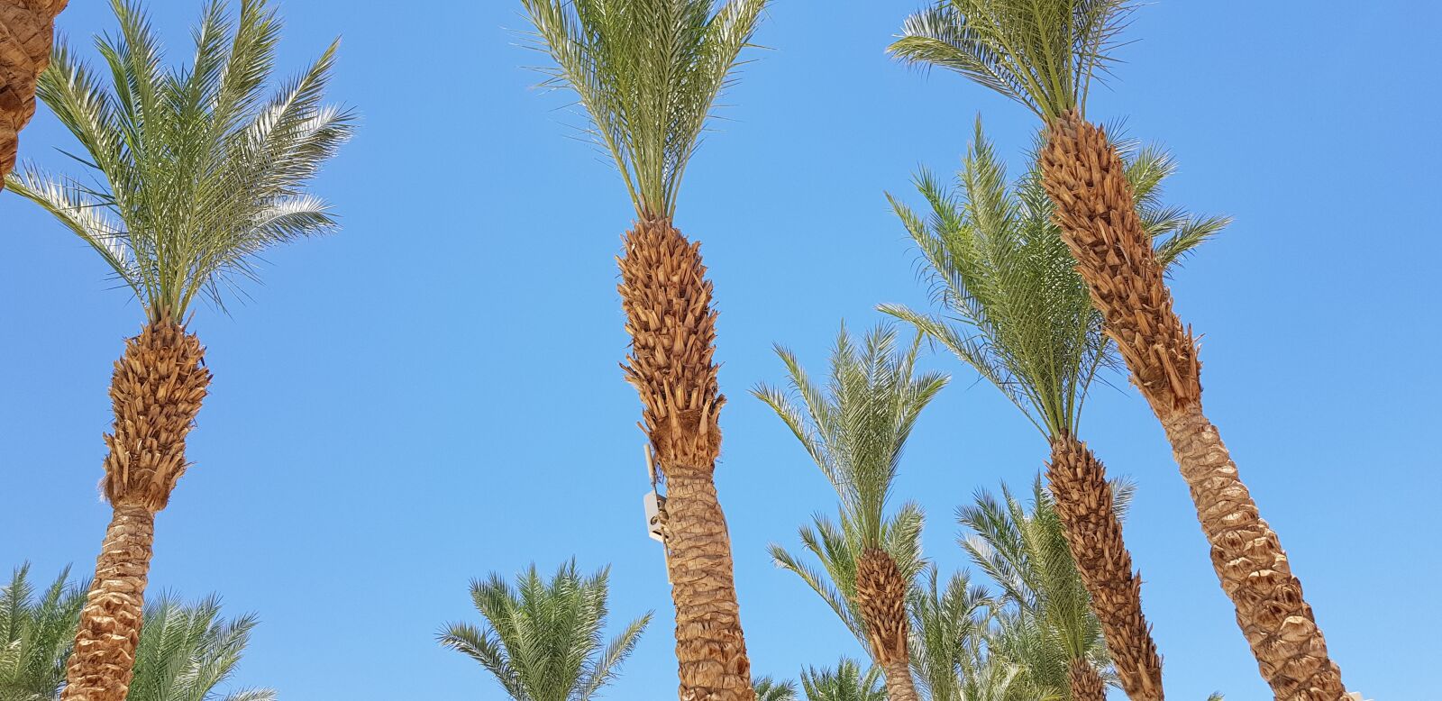 Samsung Galaxy S8 sample photo. Swimming pool, summer, sky photography