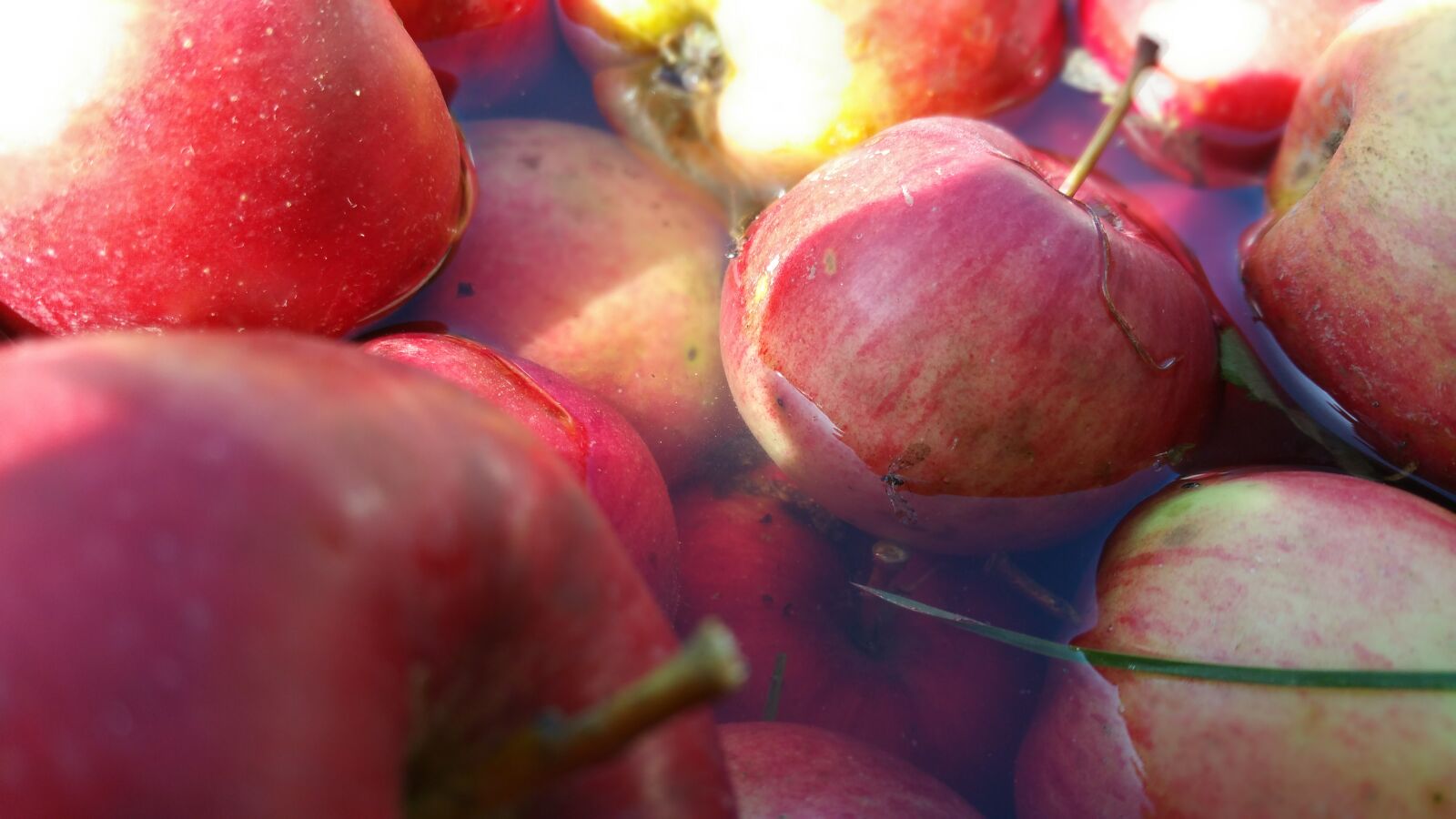 Samsung Galaxy Note4 sample photo. Apple, water, aplle photography