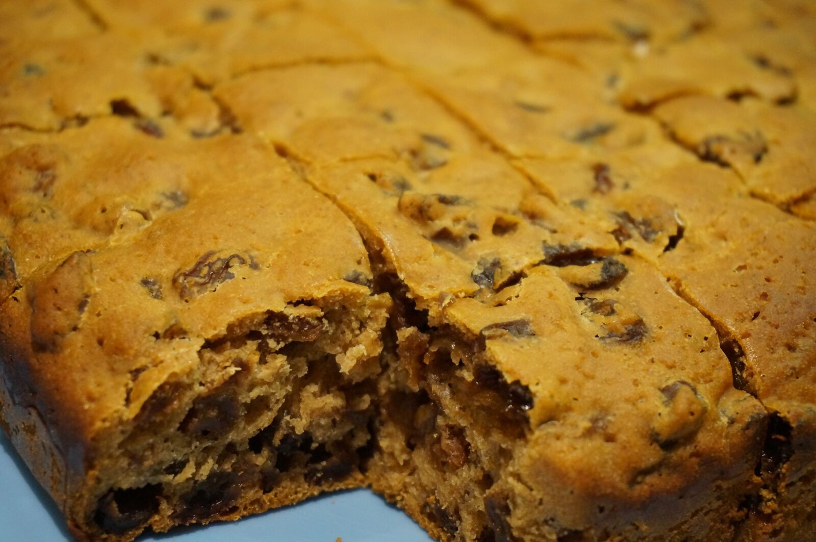 Sony Alpha NEX-3N sample photo. Cake, fruit cake, slab photography
