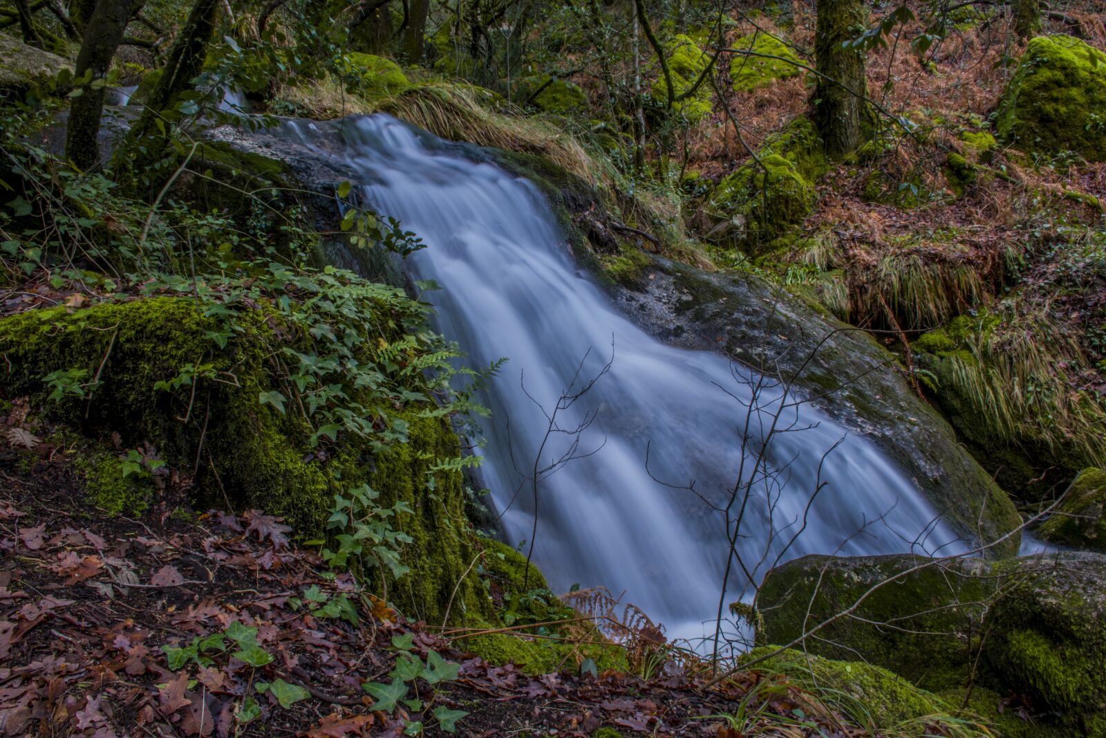 Nikon D5600 sample photo. Nature, water, rio photography