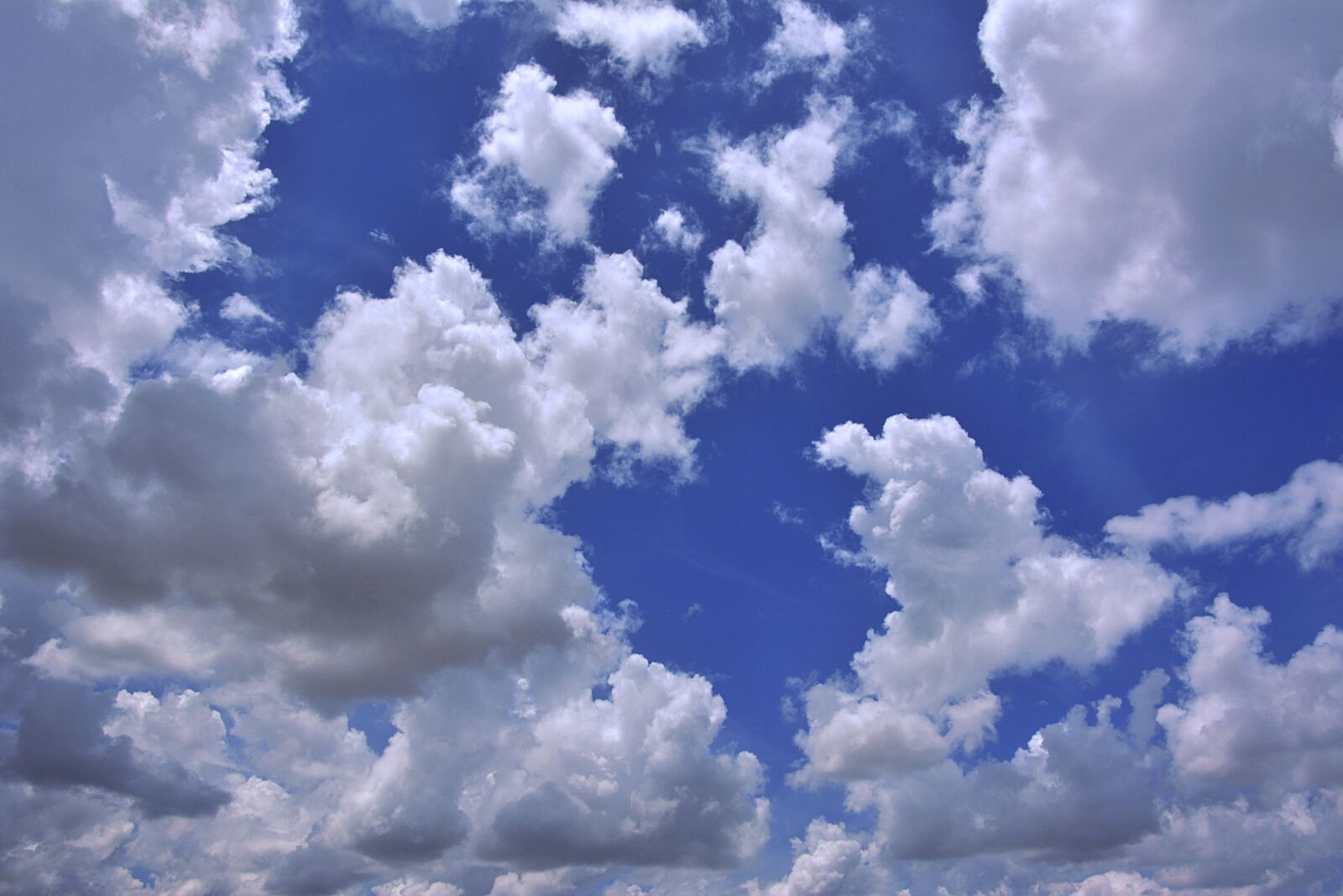 Nikon D7100 sample photo. Fluffy, sky, background photography