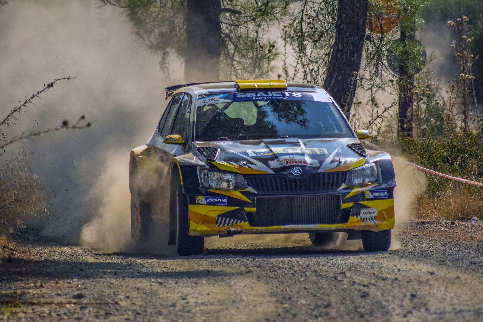 Nikon D3300 sample photo. Car, rally, auto photography
