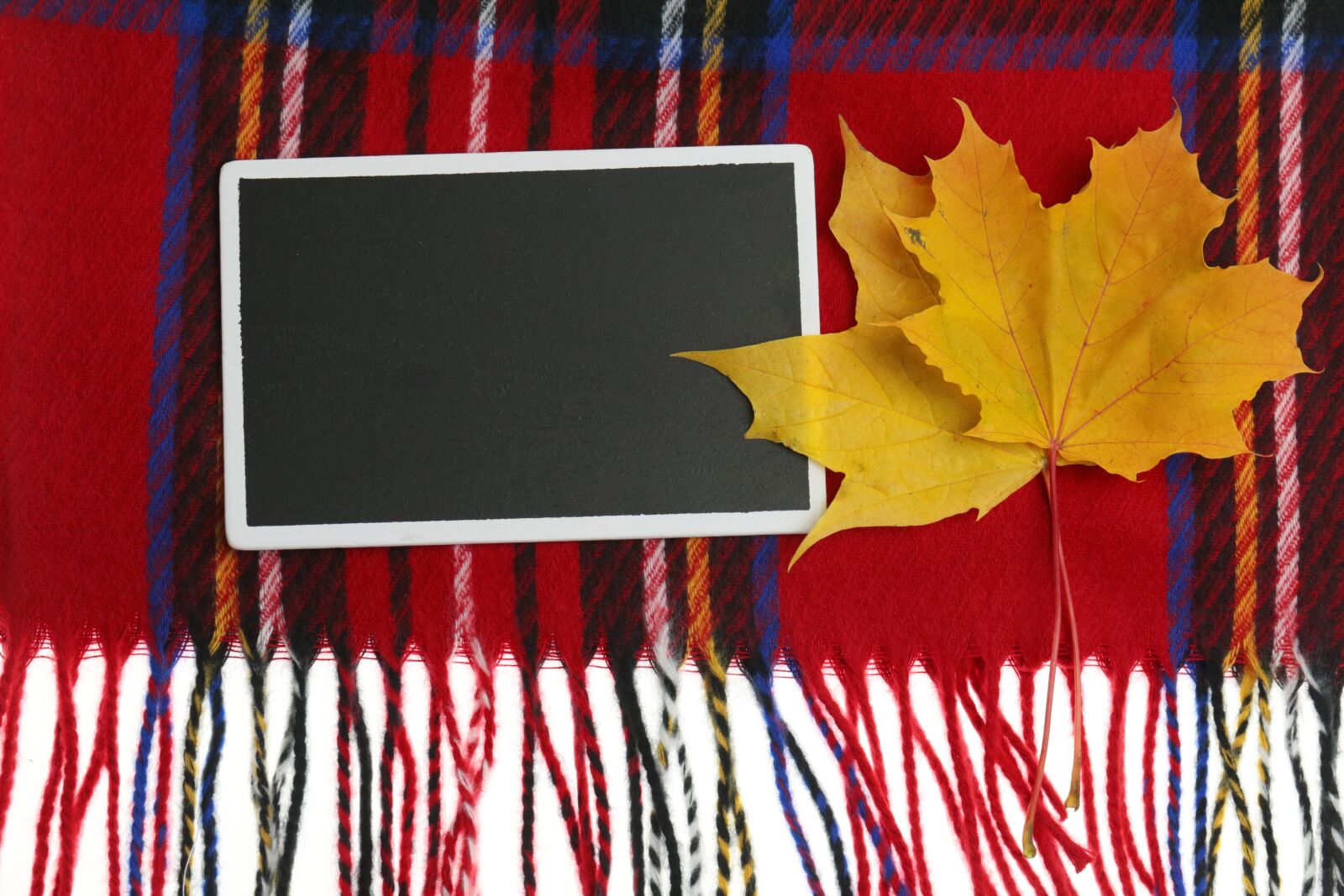Canon EF 100mm F2.8L Macro IS USM sample photo. Autumn, maple, sheet photography