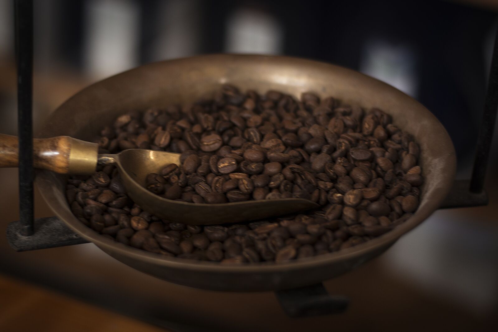 Nikon D5200 sample photo. Coffee, horizontal, shell photography