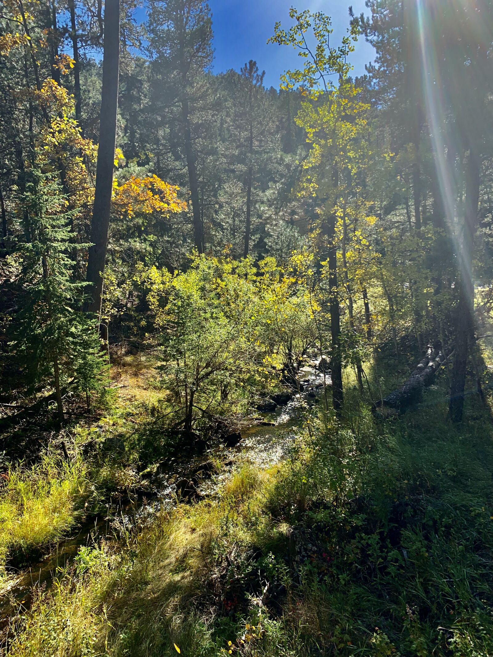 iPhone XR back camera 4.25mm f/1.8 sample photo. Creek, landscape, stream photography