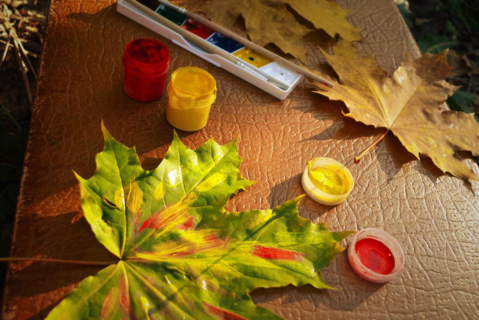 Nikon D3100 sample photo. Fall, autumn, nature photography