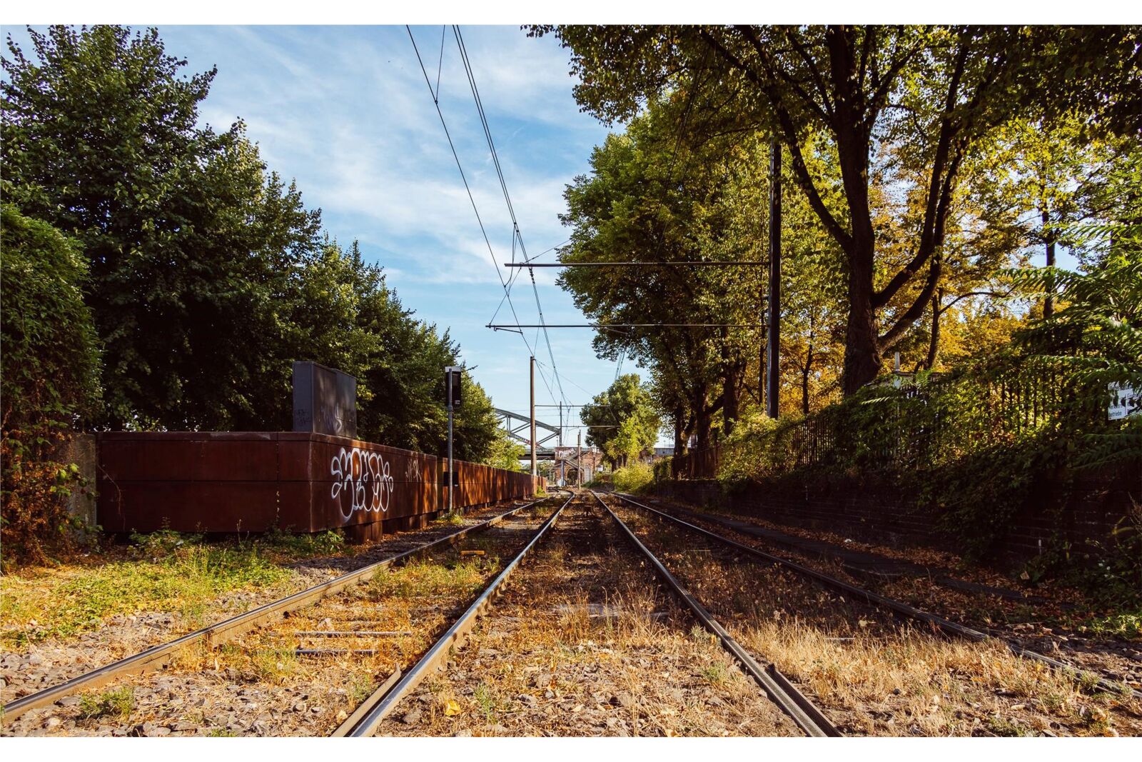 Panasonic Lumix DMC-FZ1000 sample photo. Rail, old, train photography