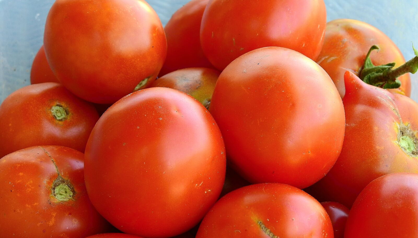 Nikon Coolpix P900 sample photo. Tomatoes, food, vegetables photography