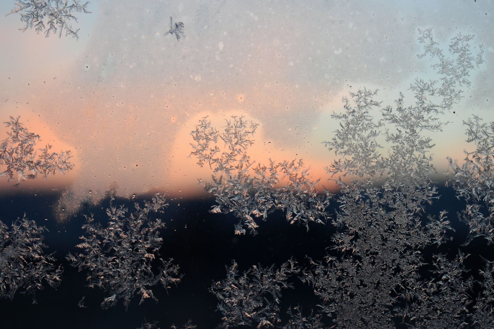 Nikon D5500 sample photo. Hardest, frost, winter photography