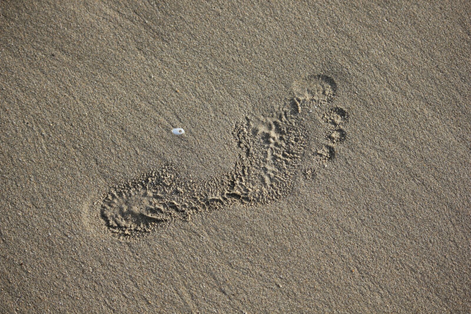 Canon EOS 550D (EOS Rebel T2i / EOS Kiss X4) sample photo. Footprint, foot, sand photography