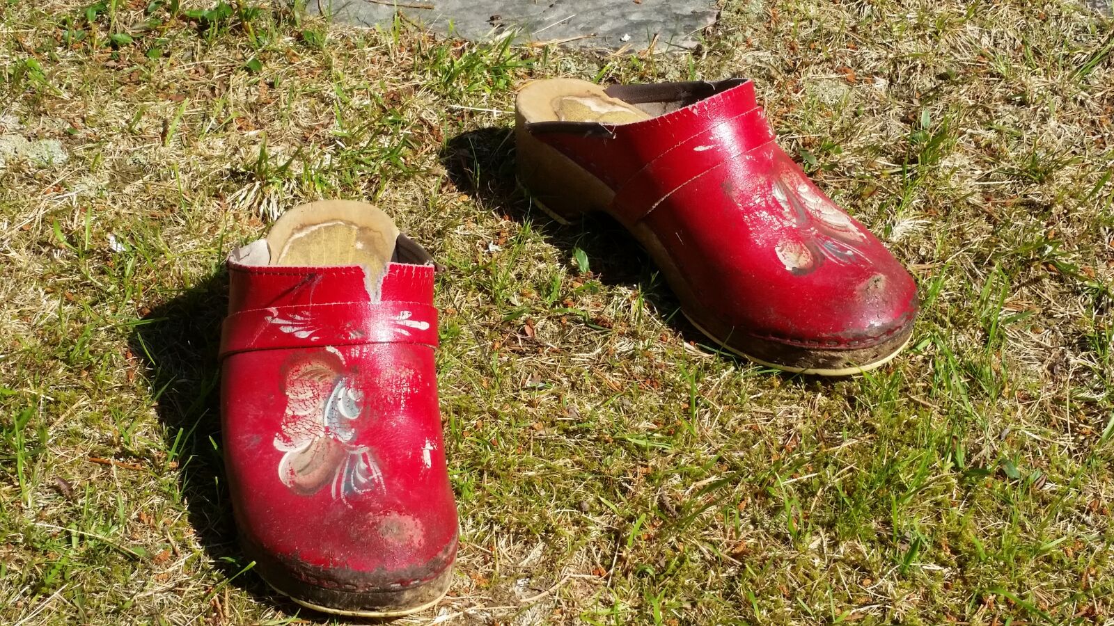 Samsung Galaxy S5 sample photo. Clogs, grass, red photography