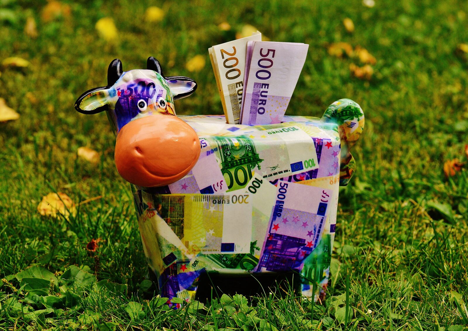 Nikon D3200 sample photo. Piggy bank, money, cow photography