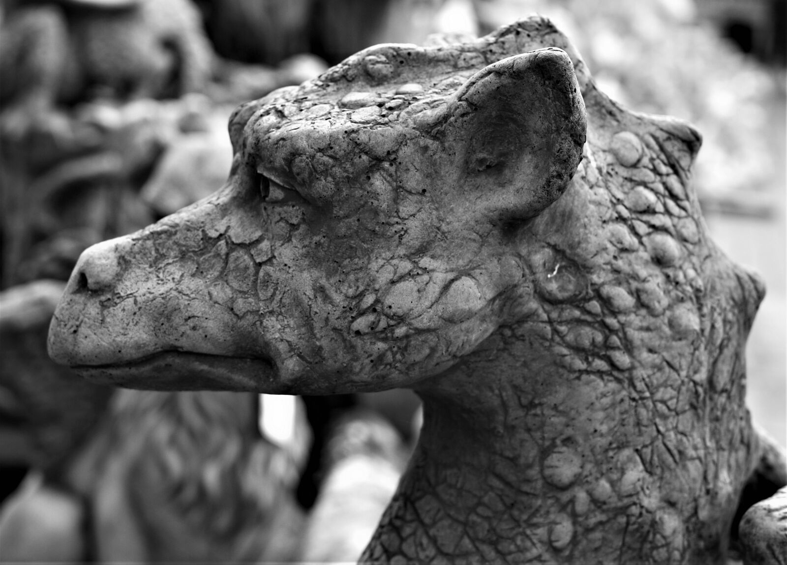 Olympus E-520 (EVOLT E-520) sample photo. Animal, nature, mammal photography
