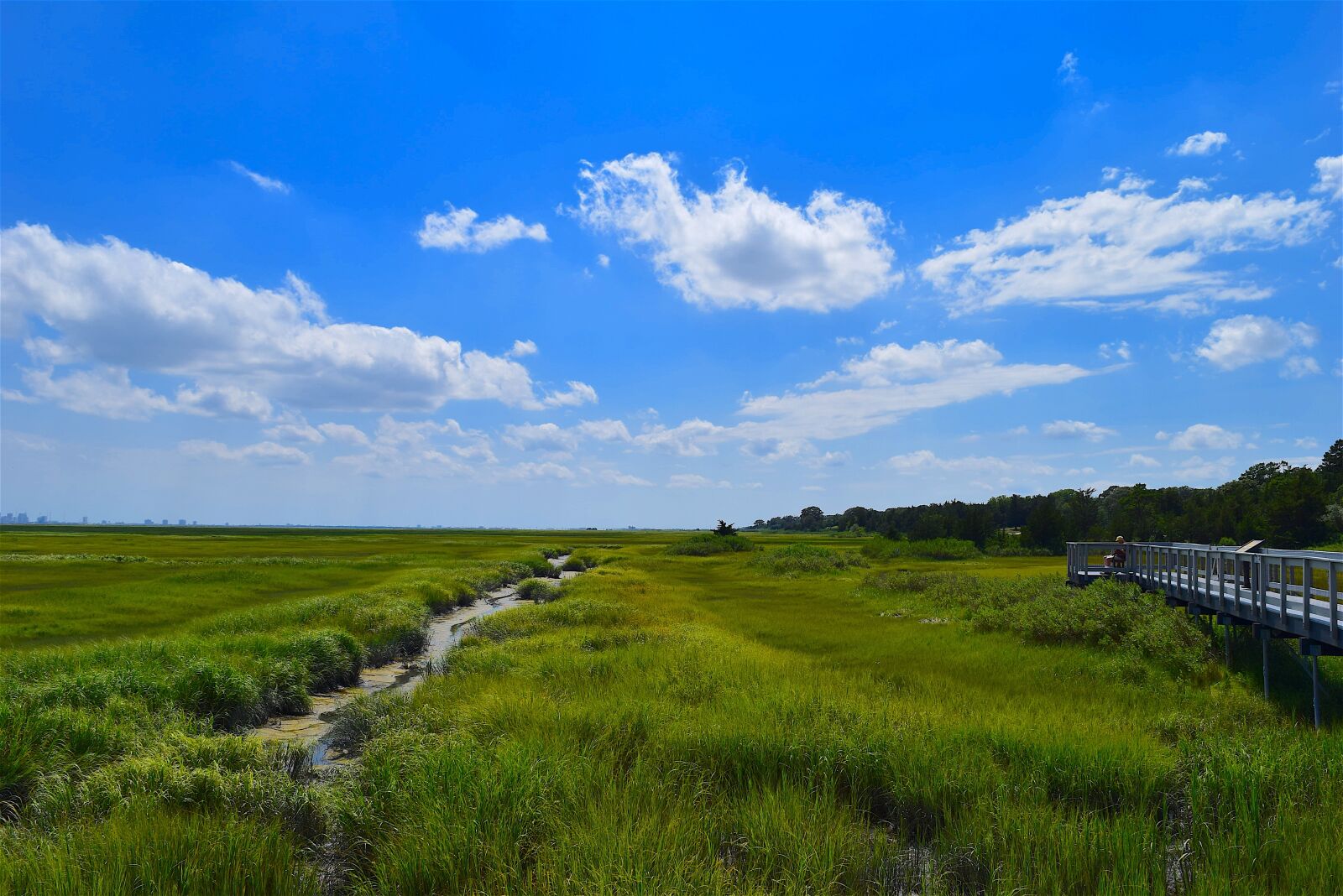 Nikon D3300 sample photo. Marsh, estuary, water photography