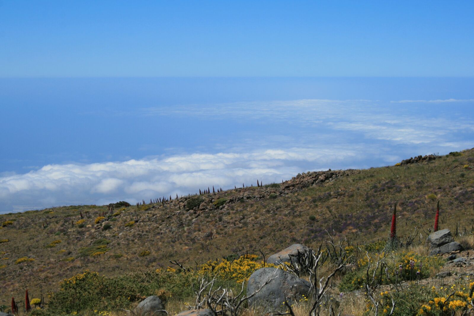 Canon EOS 400D (EOS Digital Rebel XTi / EOS Kiss Digital X) sample photo. Canary islands, teide national photography