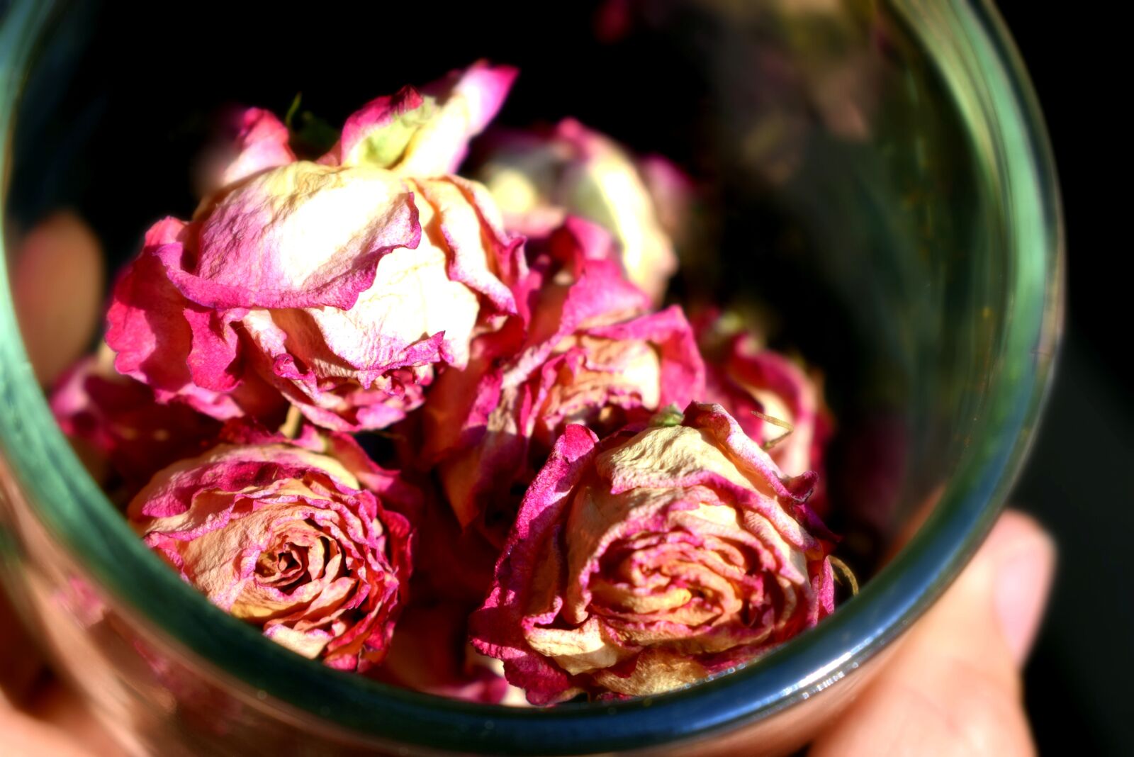 Nikon D3300 sample photo. Glass, vase, roses photography