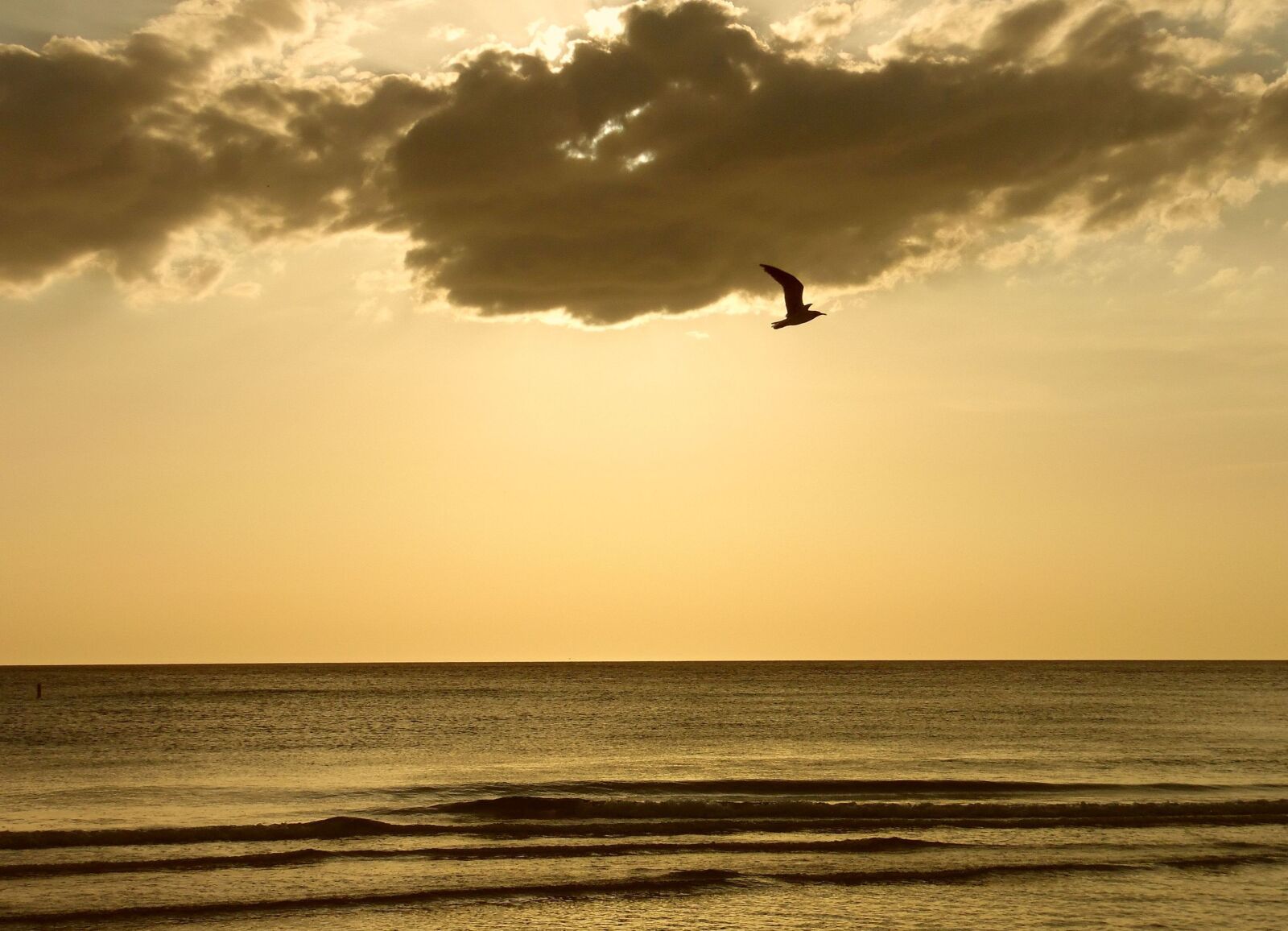 Samsung WB1100F/WB1101F/WB1102F sample photo. Solo flight by a photography