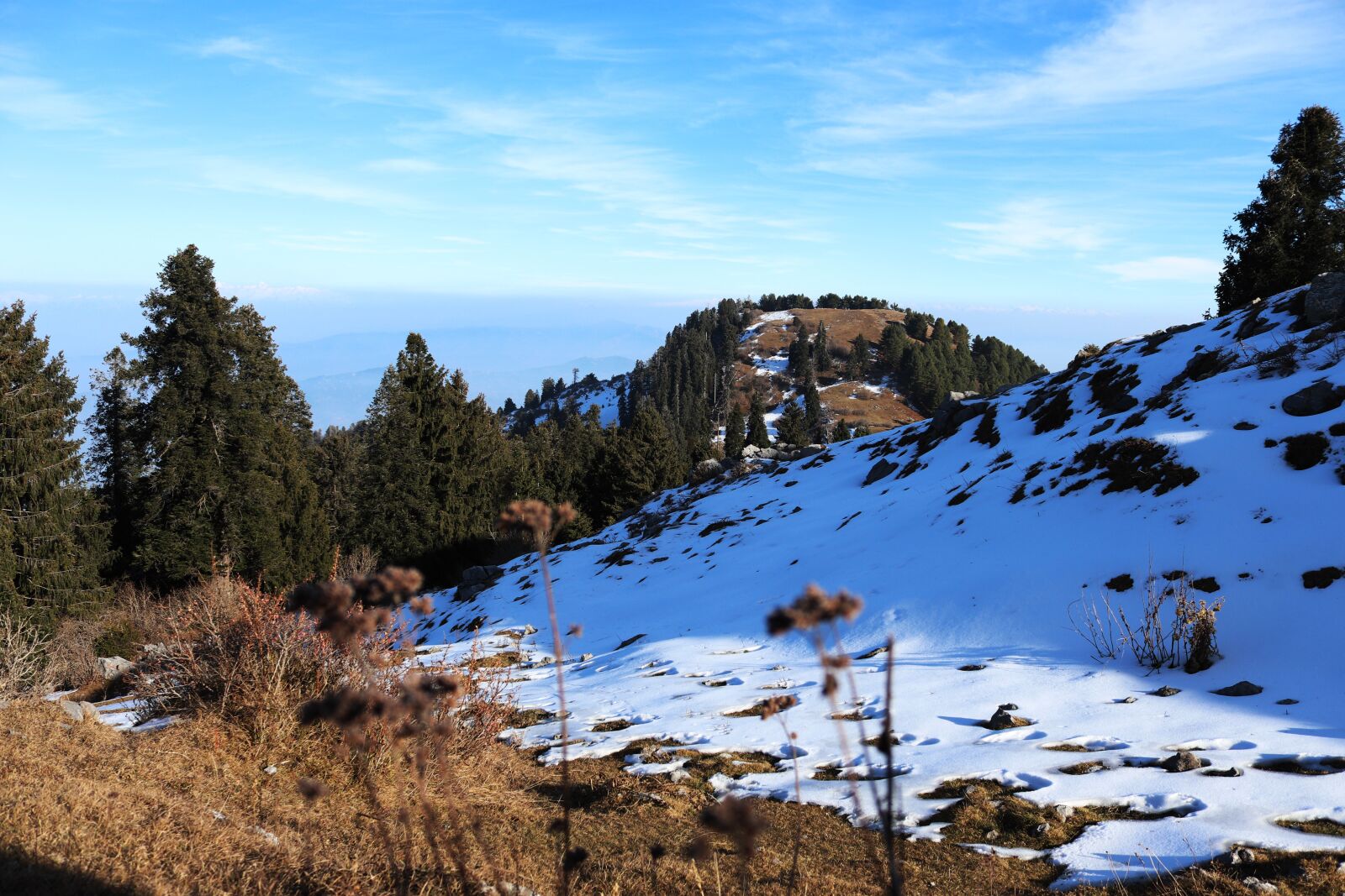Canon EOS 200D (EOS Rebel SL2 / EOS Kiss X9) sample photo. Mushkpuri top, pakistan, dunga photography
