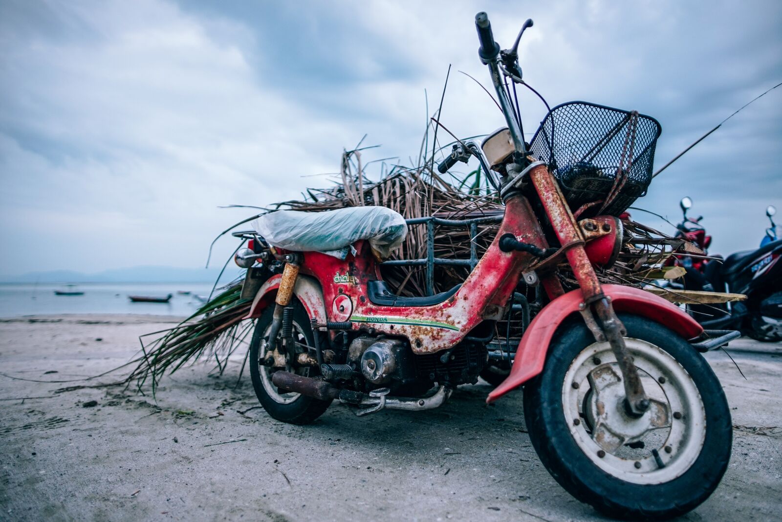 Sony a7 II sample photo. Beach, bike, coast photography