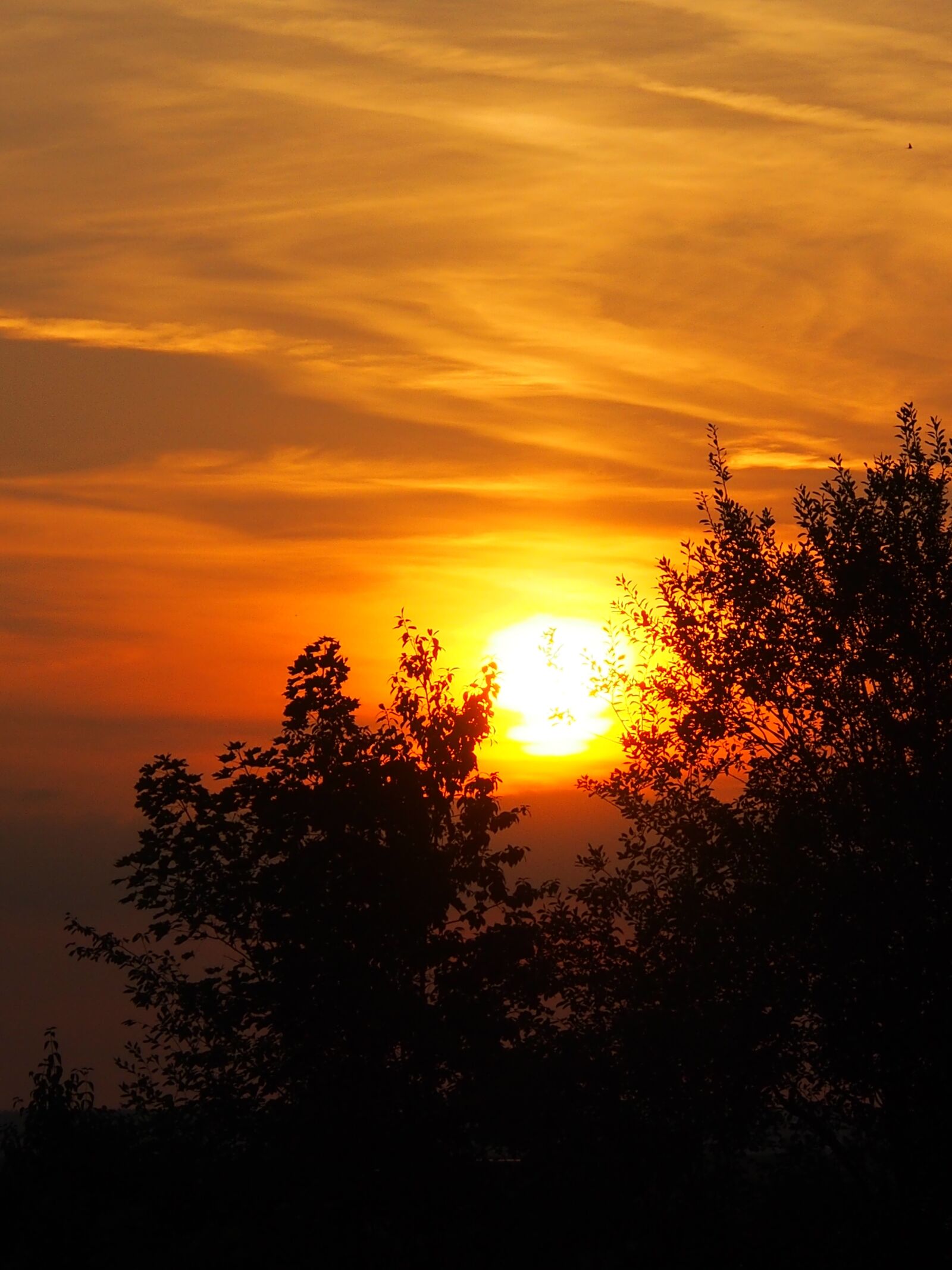 Olympus OM-D E-M5 sample photo. Sunset, nature, sky photography